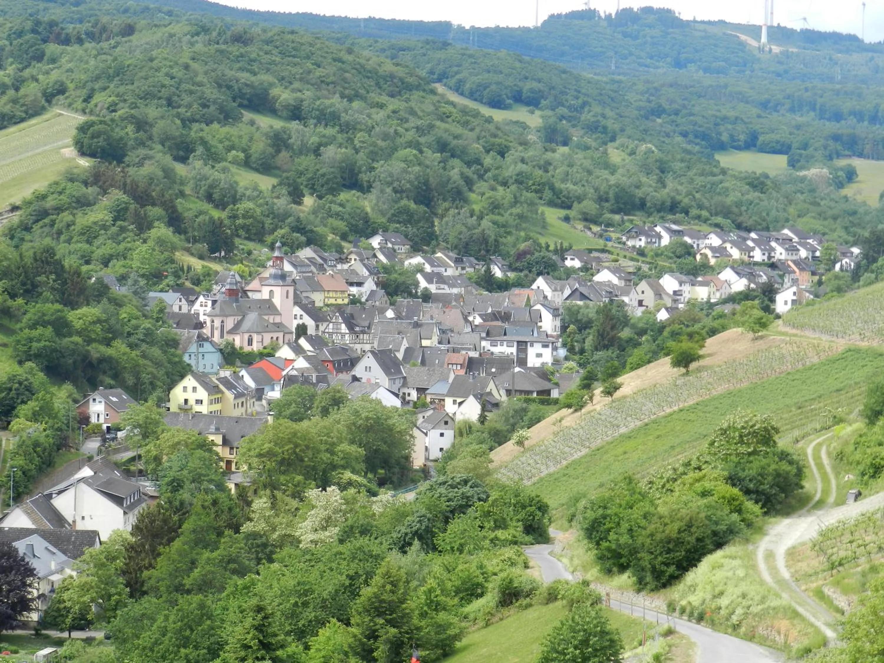 Natural landscape in Weingut Stassen