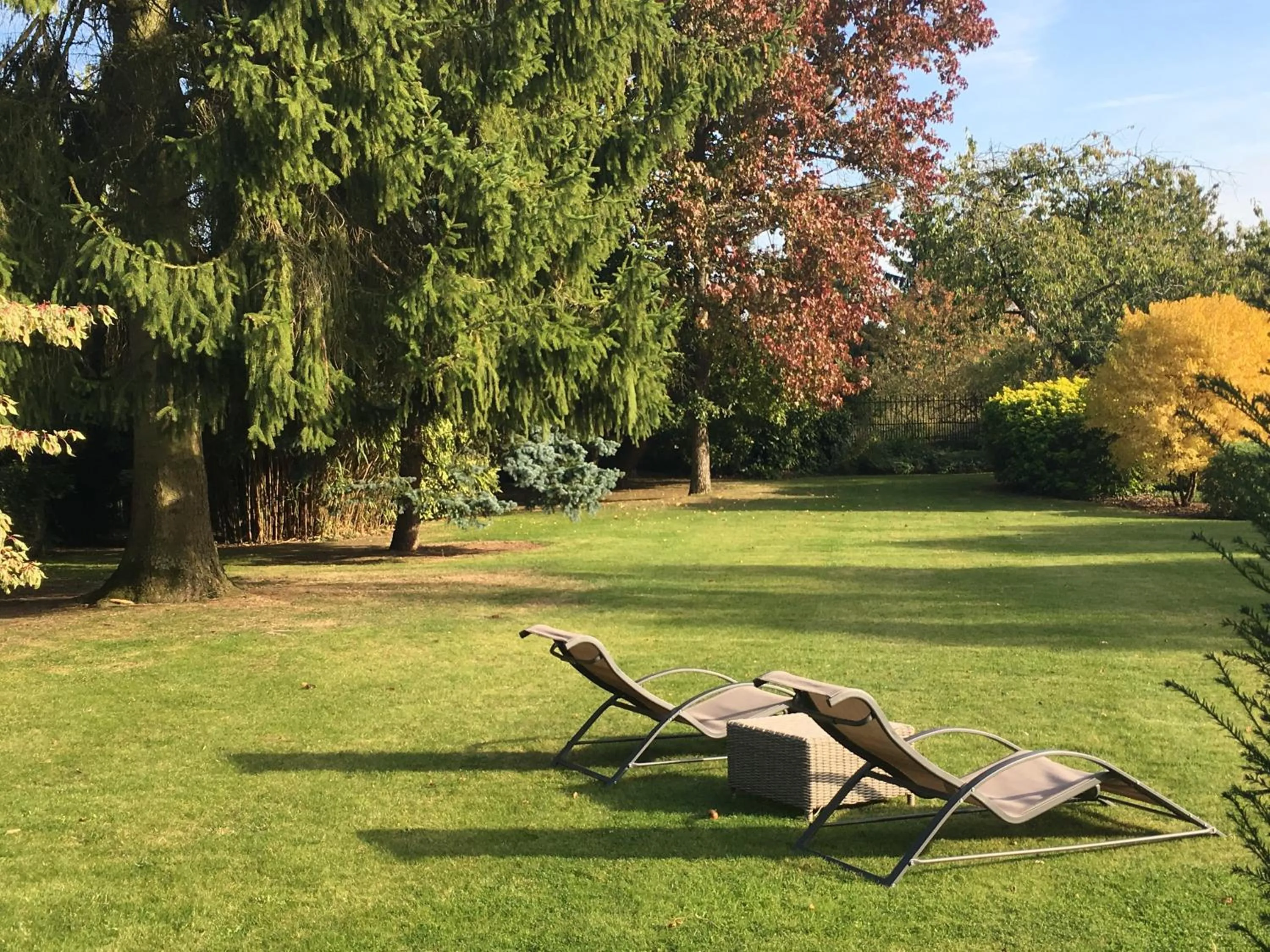 Garden in Le Puits D'Angle