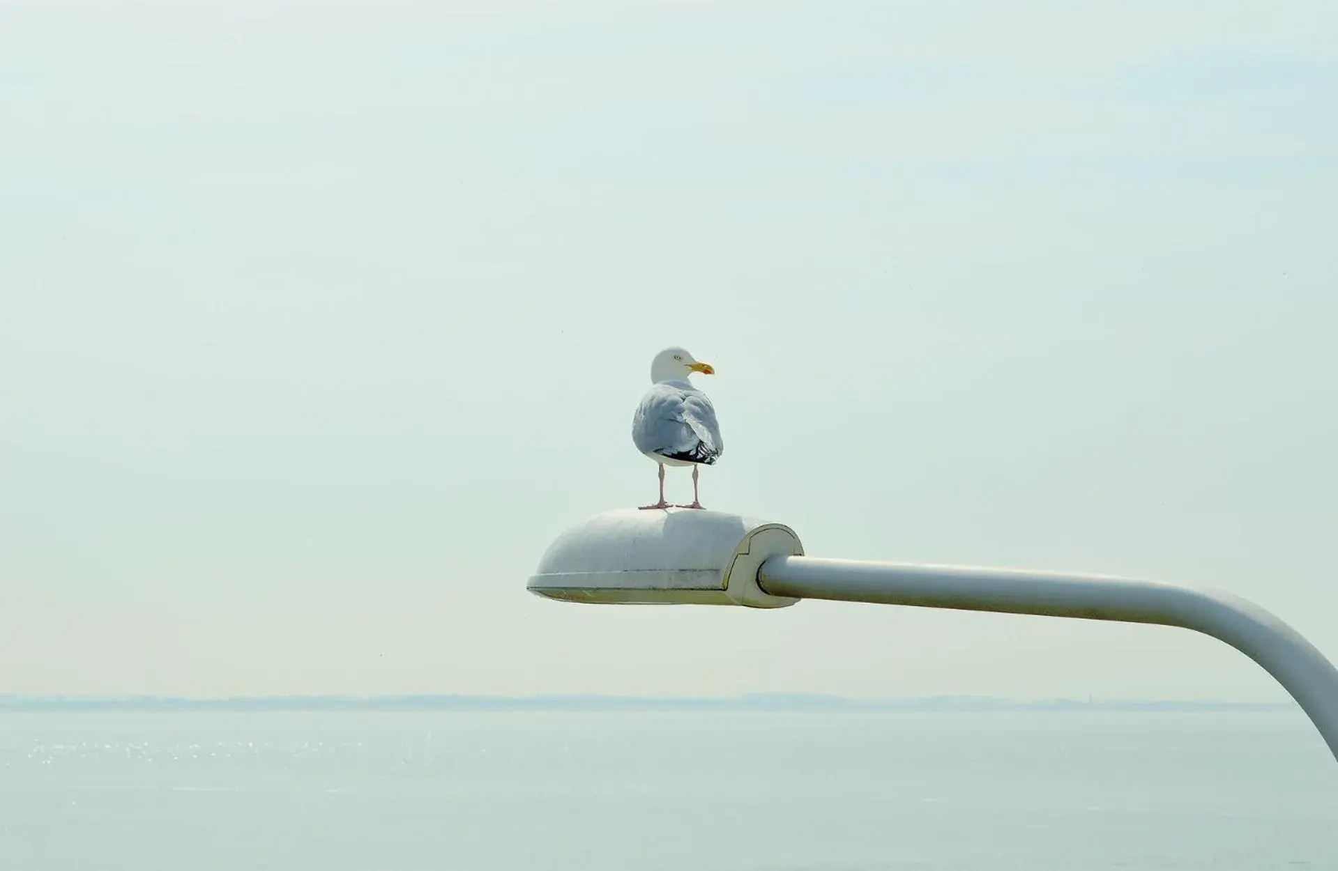 Double Room with Sea View in Belgische Loodsensociëteit Double Room with Sea View in Belgische Loodsensociëteit