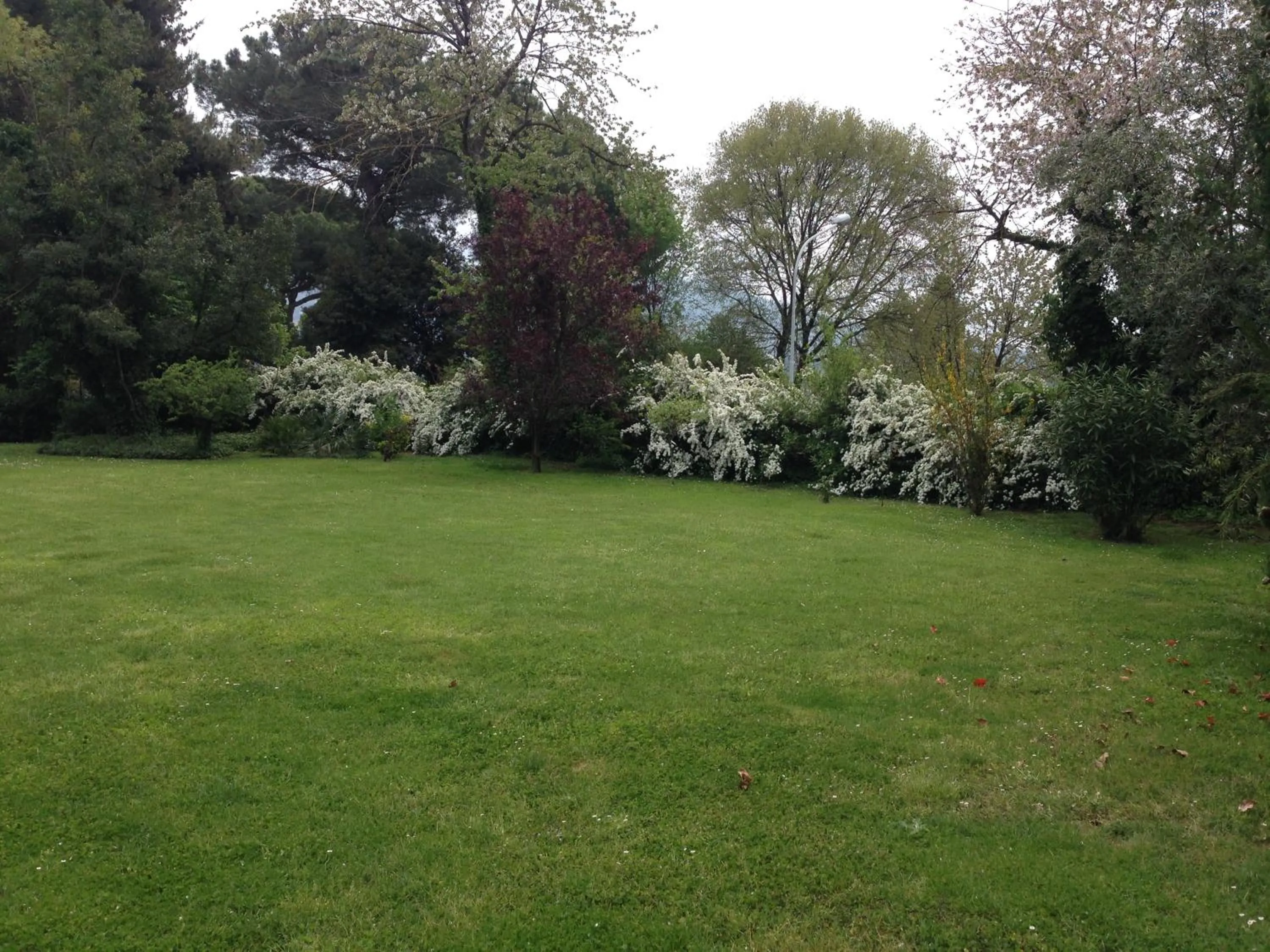 Garden in Villa Abbamer