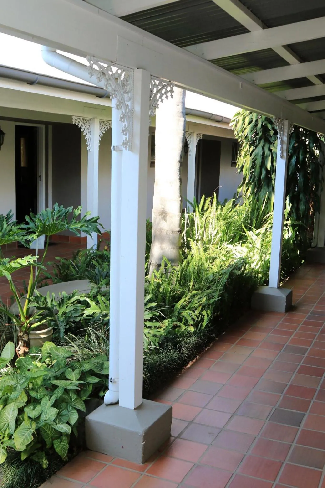 Garden in Oxford Lodge Vryheid