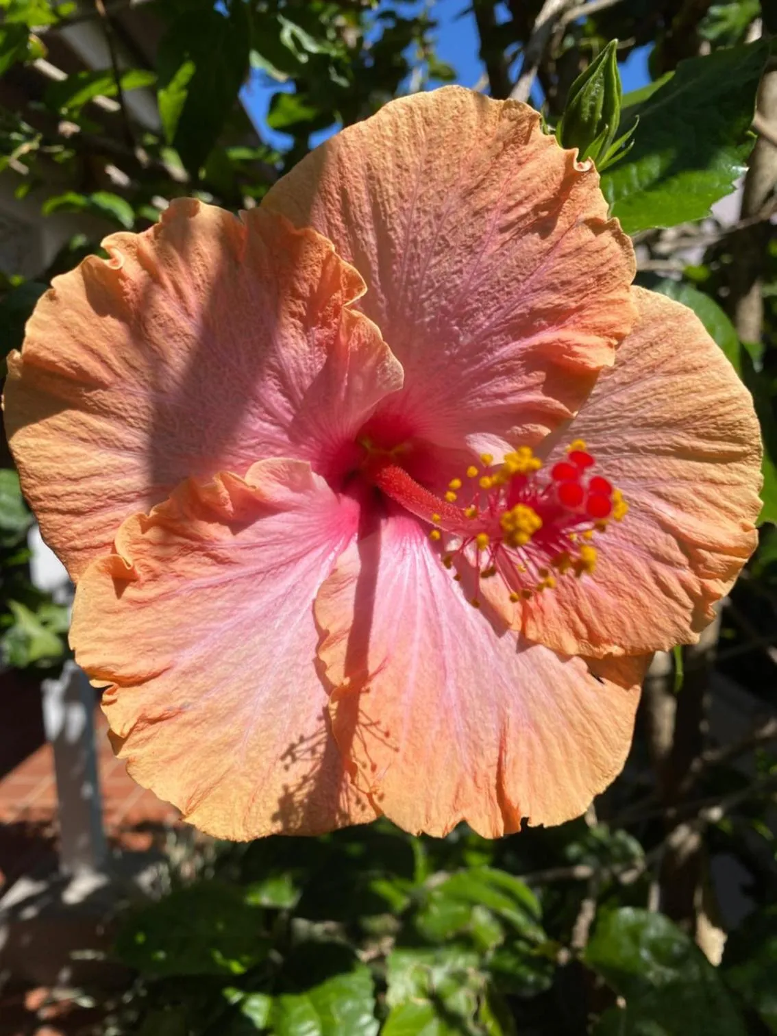 Property building in Oxford Lodge Vryheid