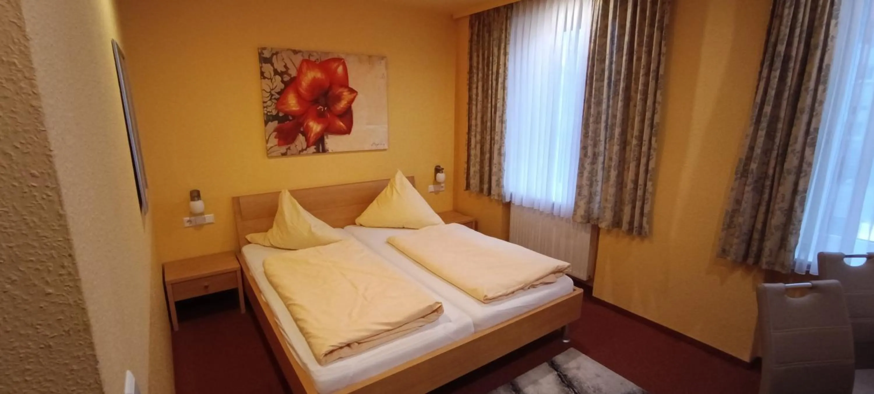 Double Room with Private Bathroom in Hotel Romäus