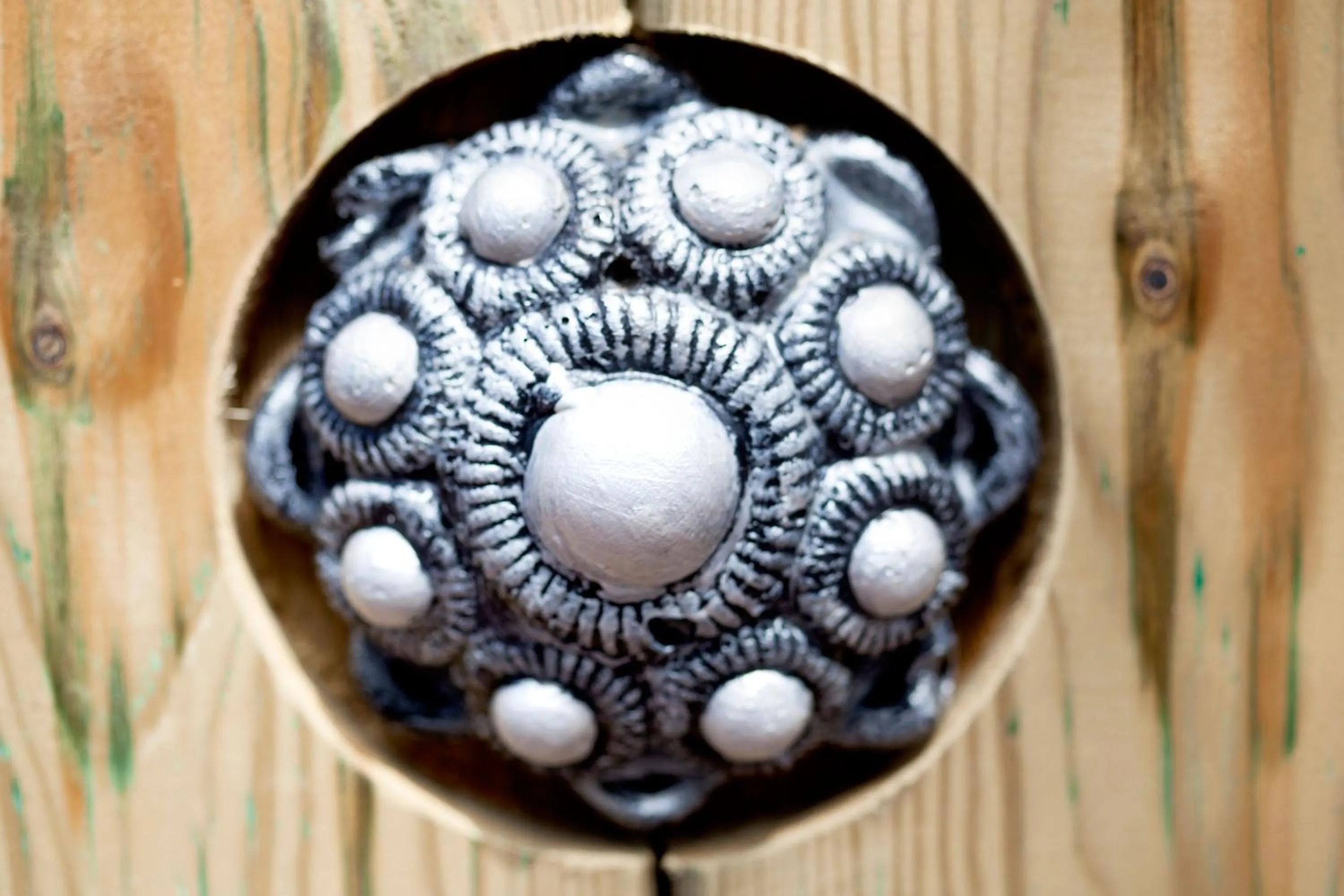 Other in Hotel de Burg