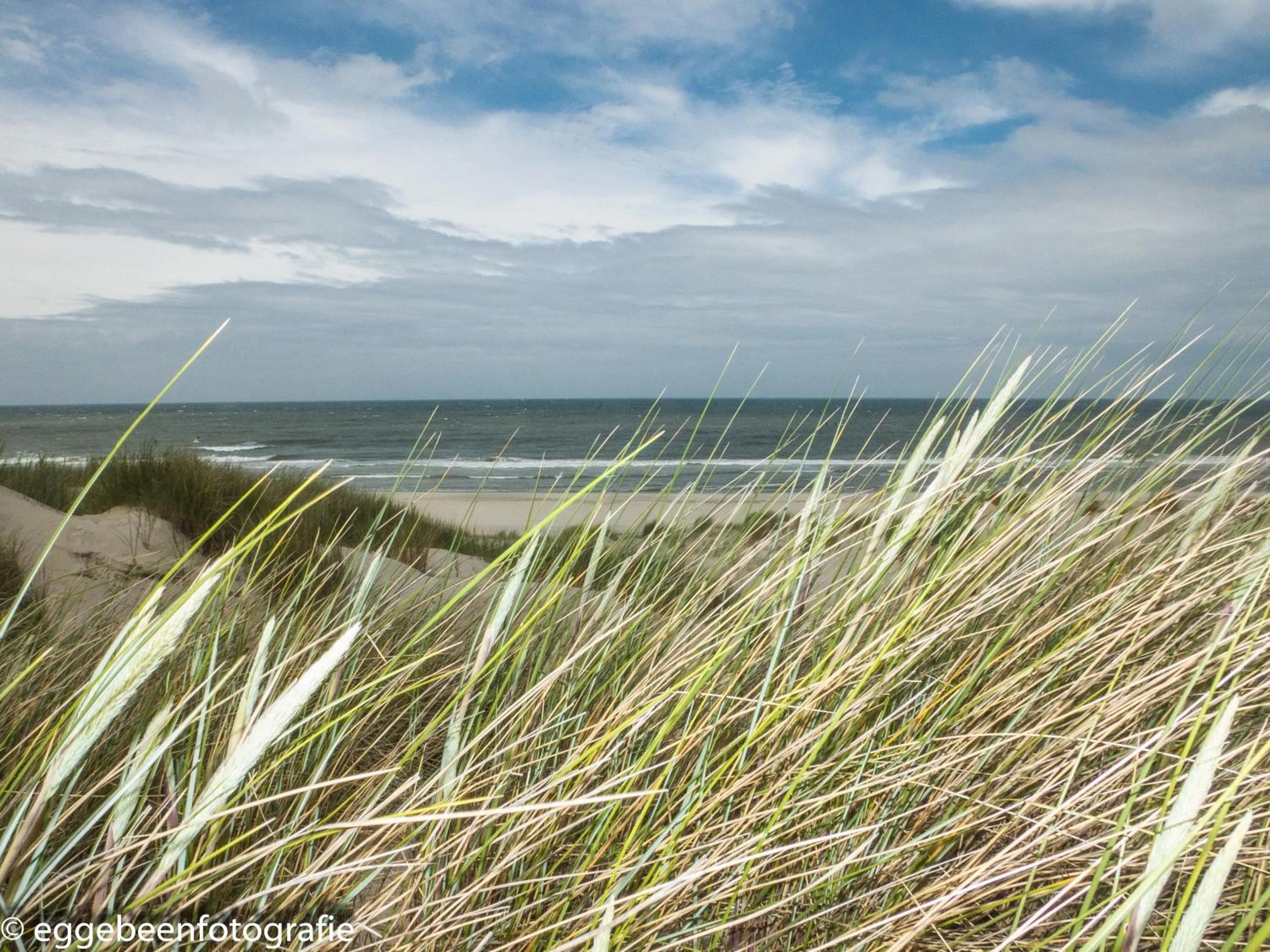 Day in Hotel de Burg