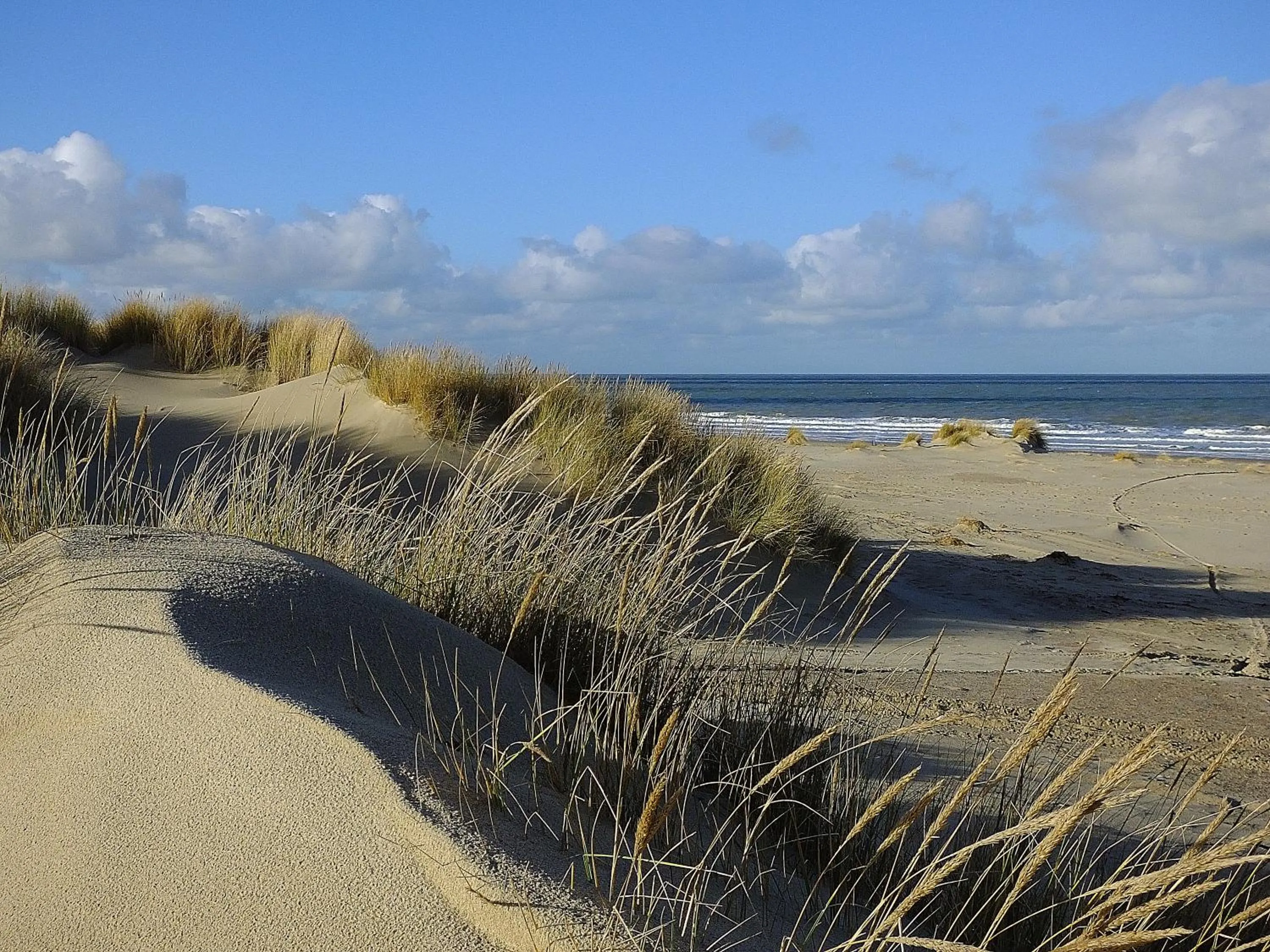 Day in Hotel de Burg