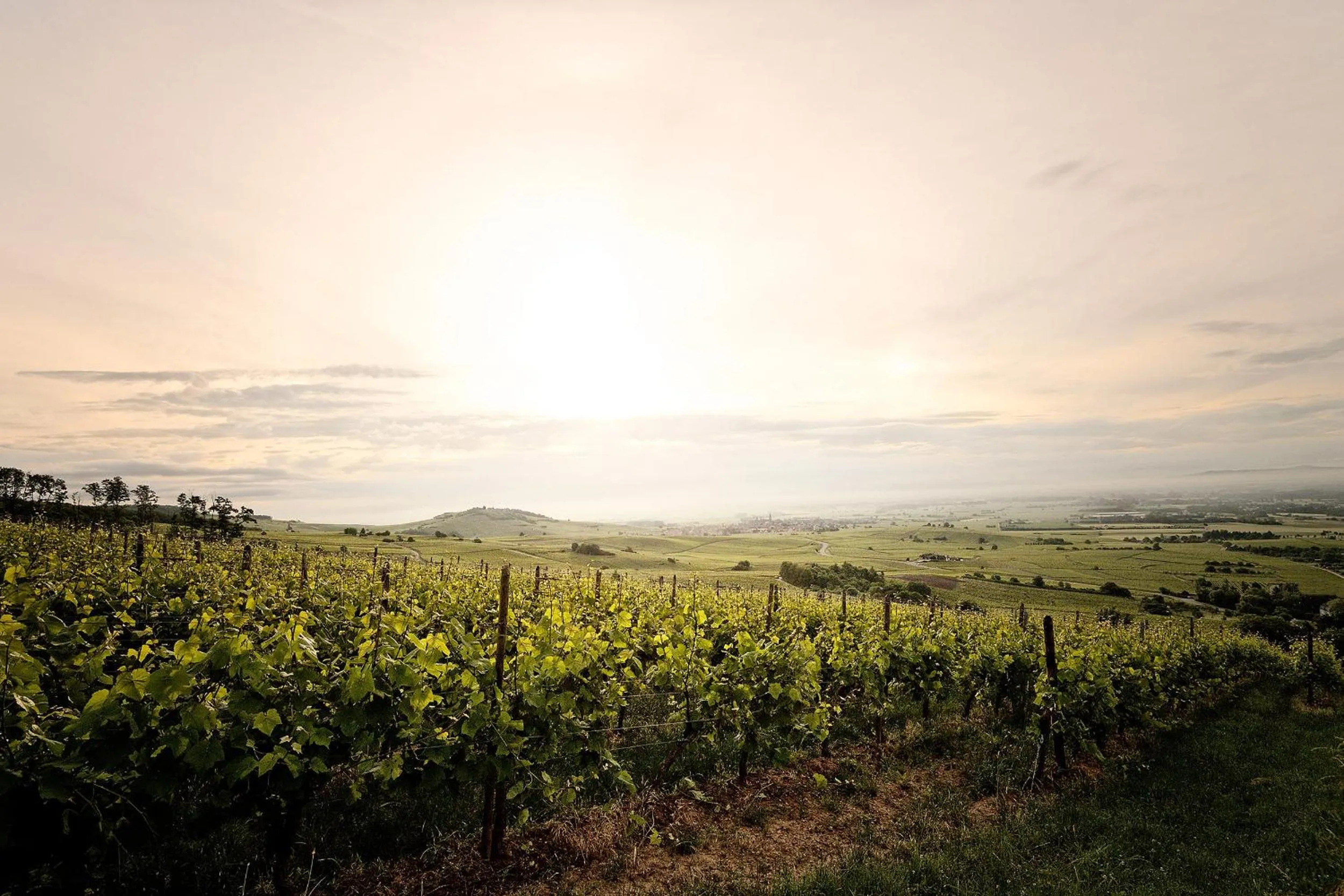 Natural landscape in Pêche de Vigne & Spa