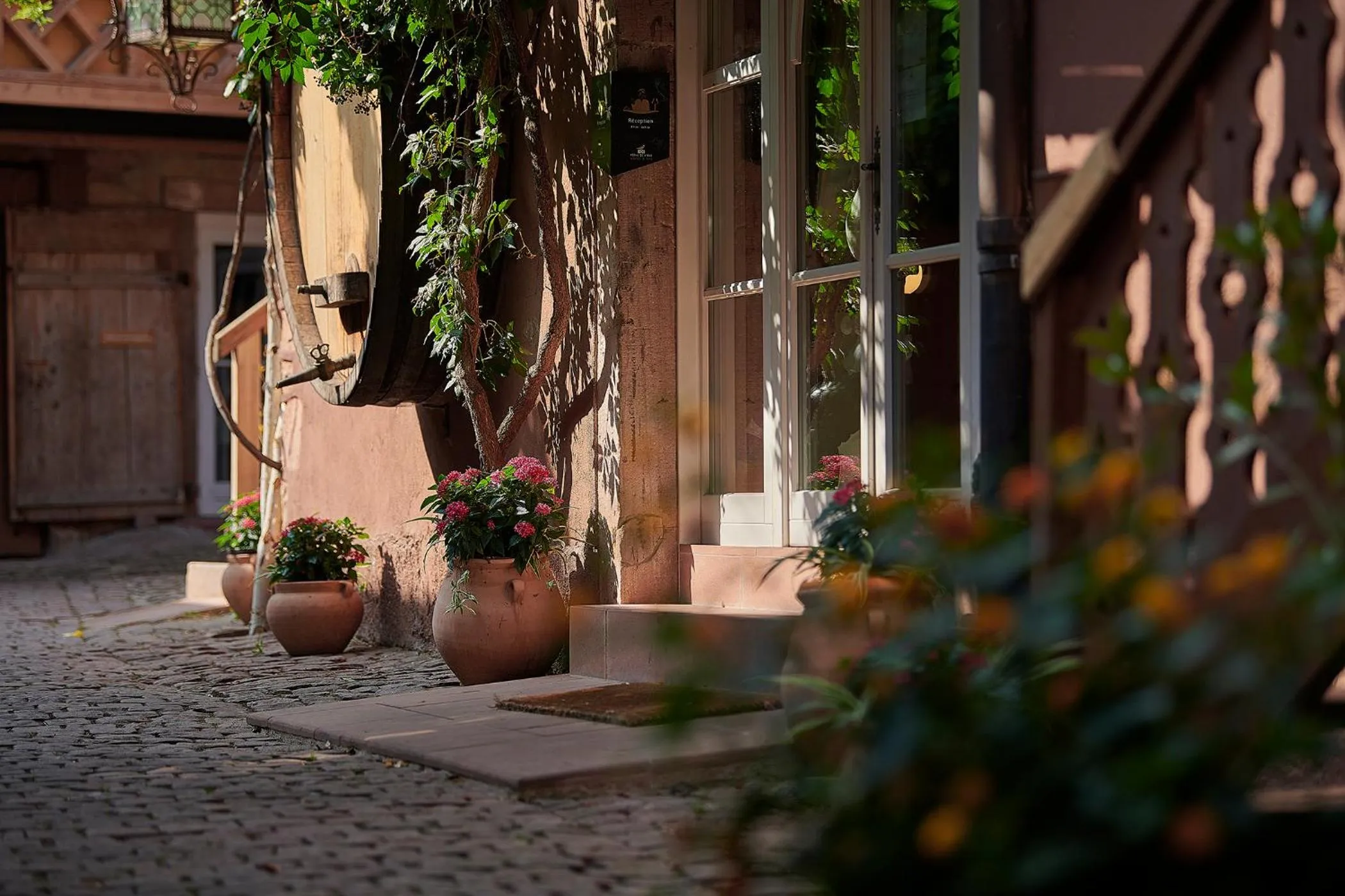 Property building in Pêche de Vigne & Spa