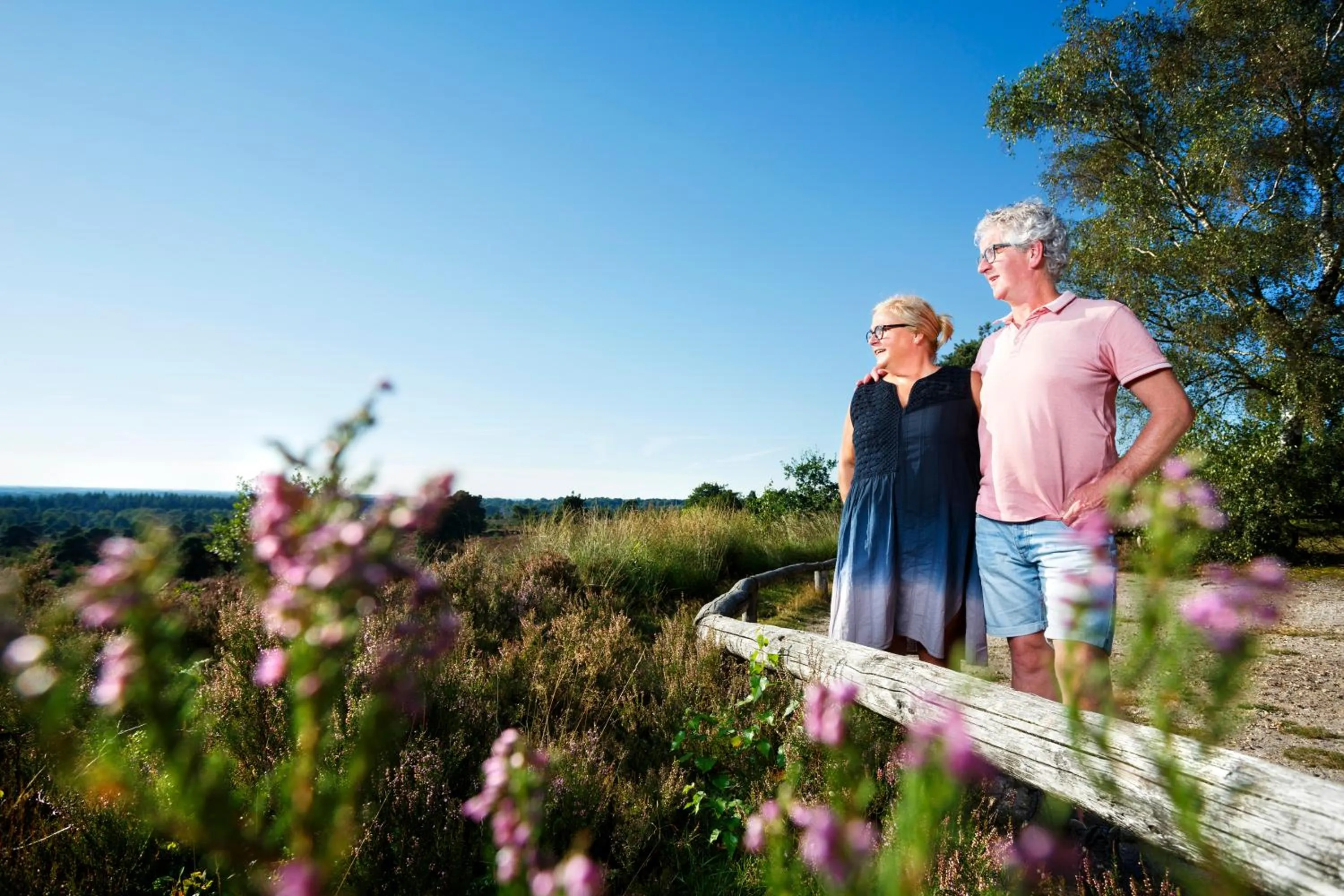 Natural landscape in Stadshotel Rijssen