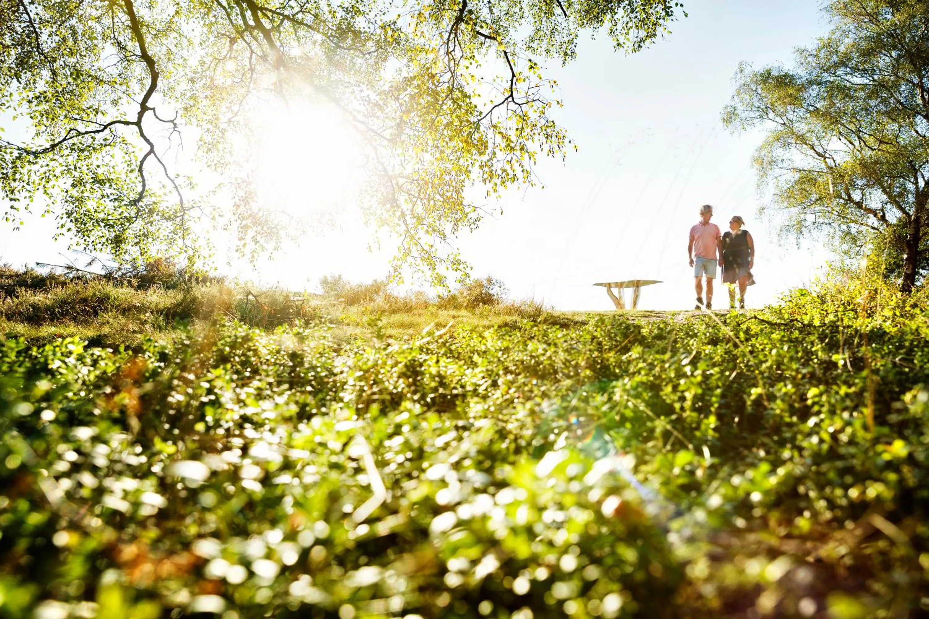 Natural landscape in Stadshotel Rijssen