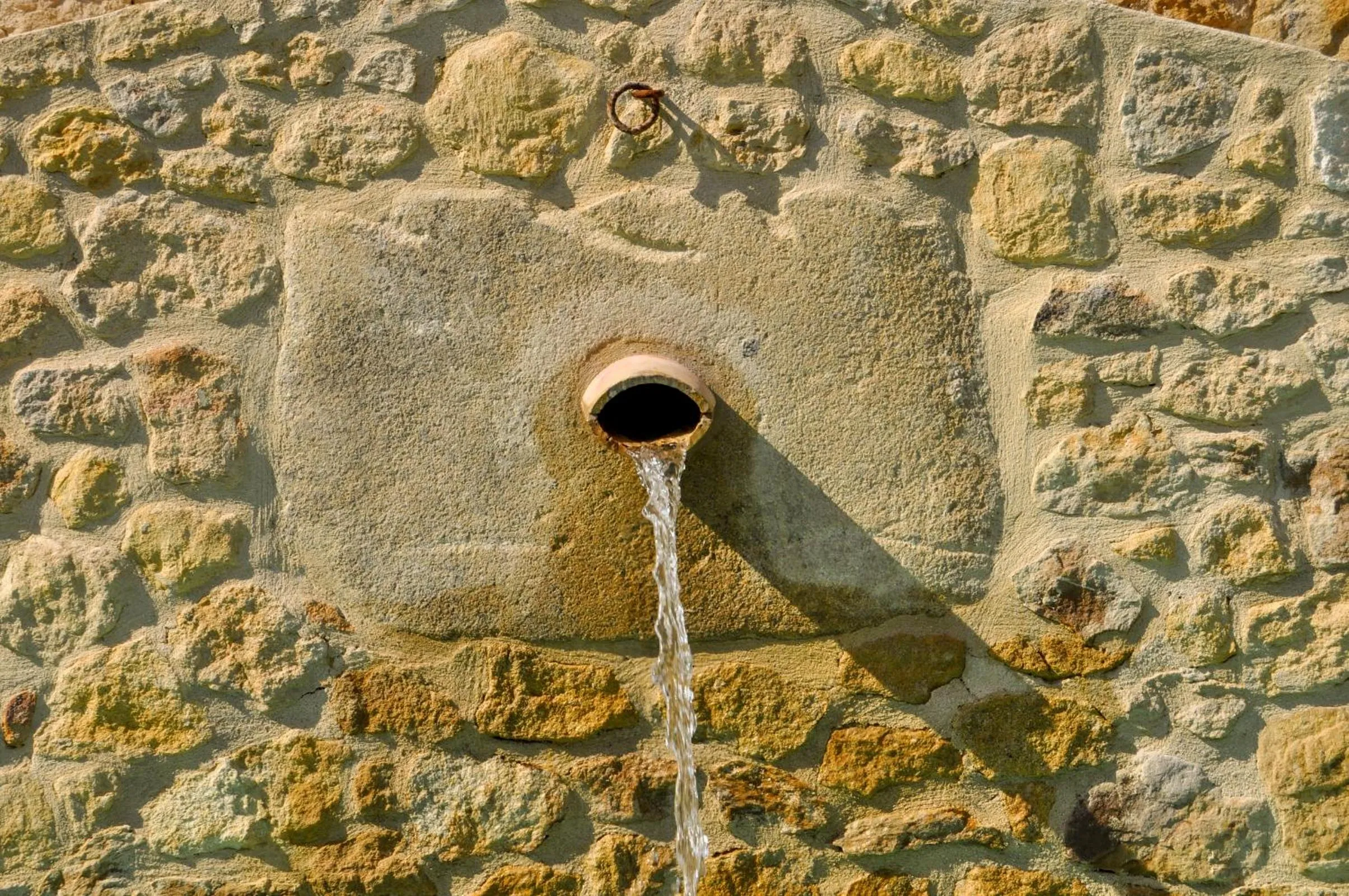 Swimming pool in Can Caranta