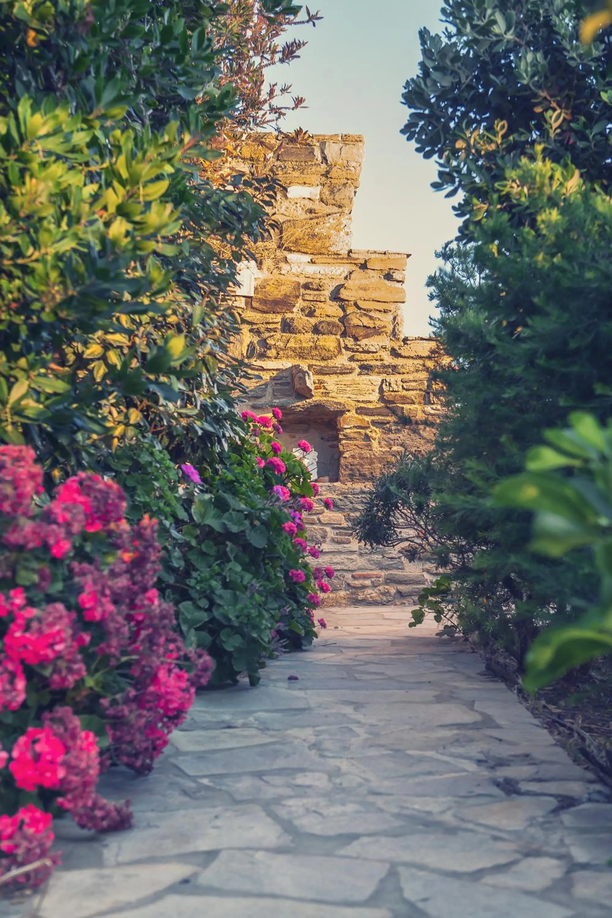 Garden in Castria studios