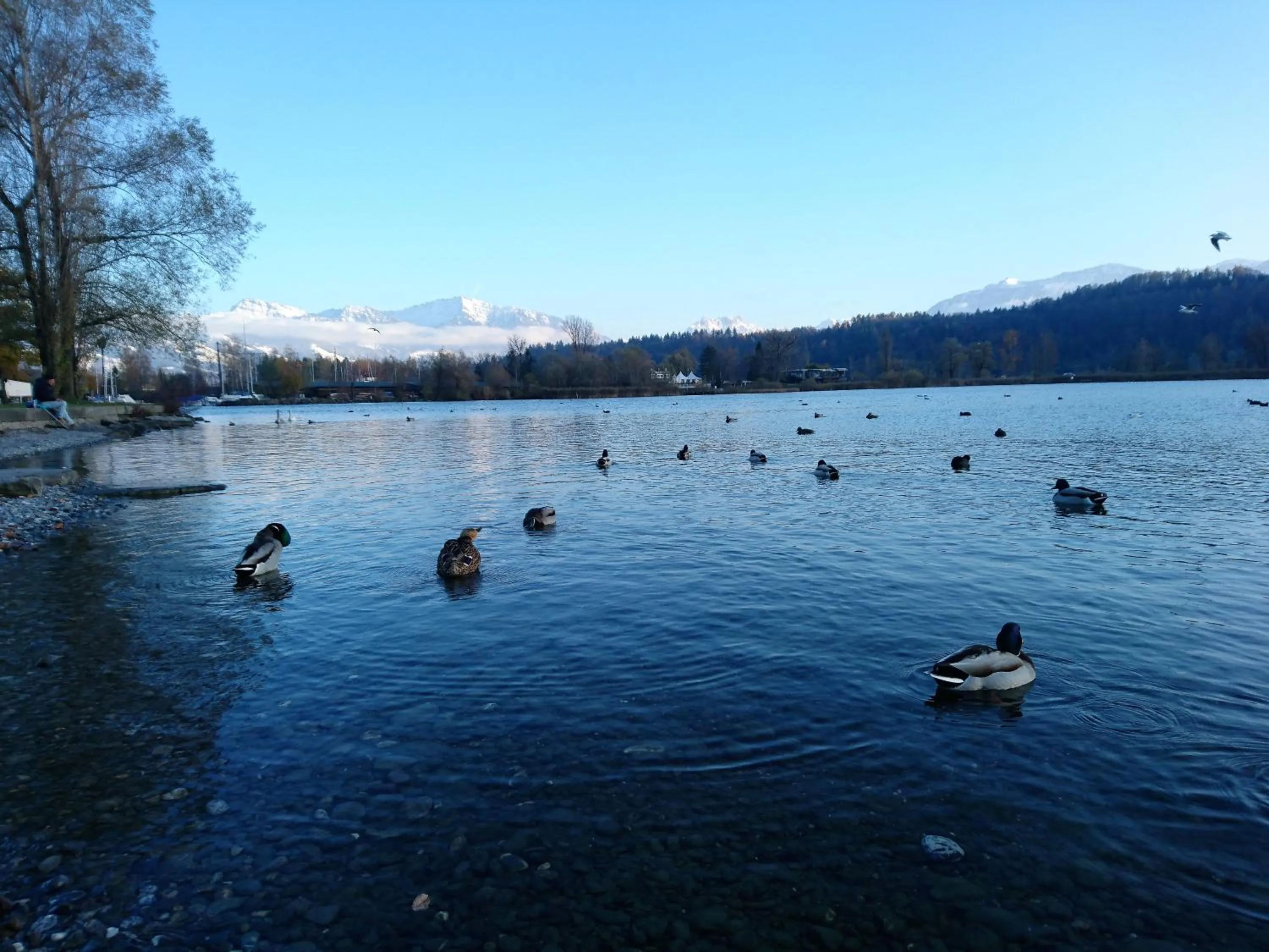 Beach in Gasthaus zum Ochsen