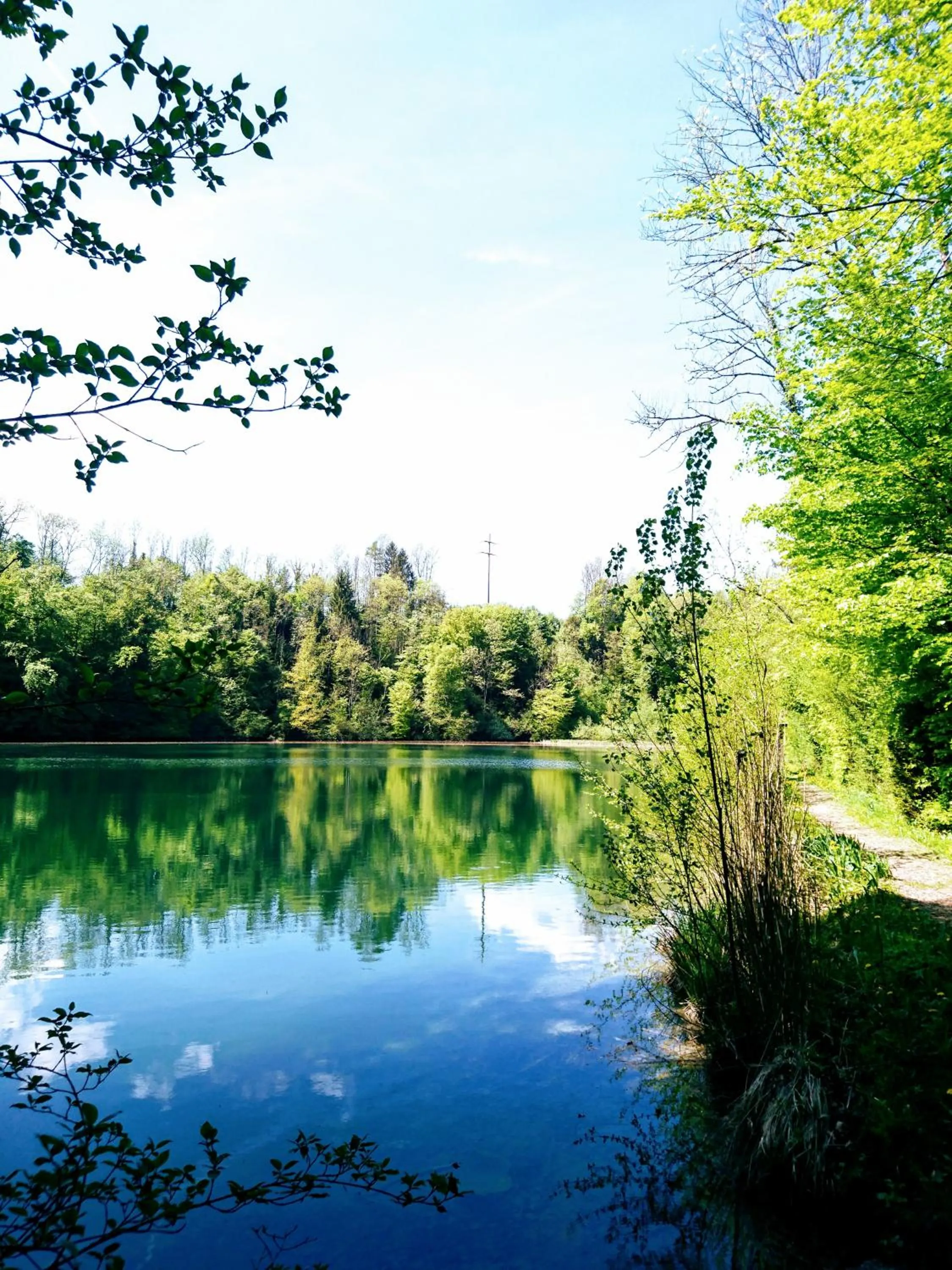 Natural landscape in Gasthaus zum Ochsen
