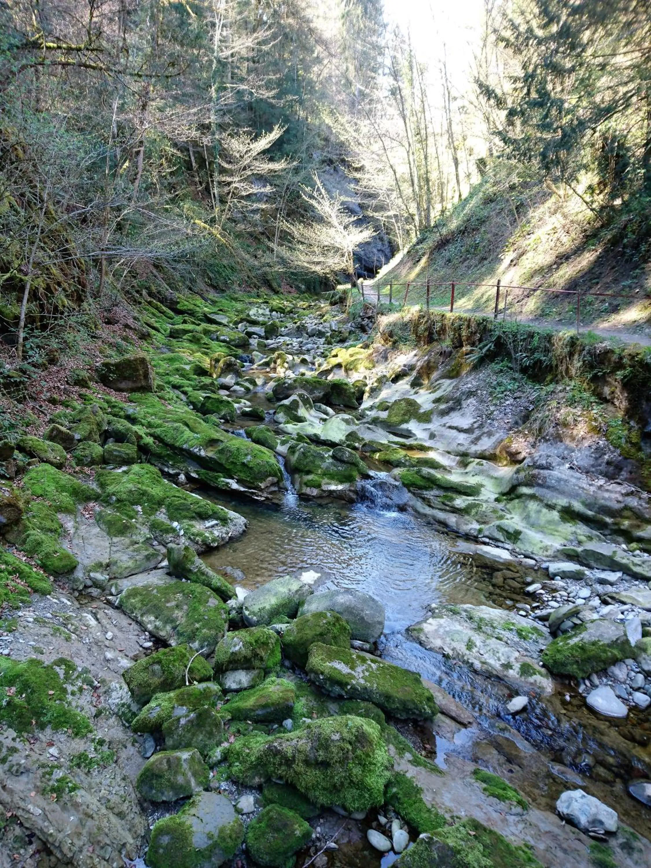 Nearby landmark in Gasthaus zum Ochsen