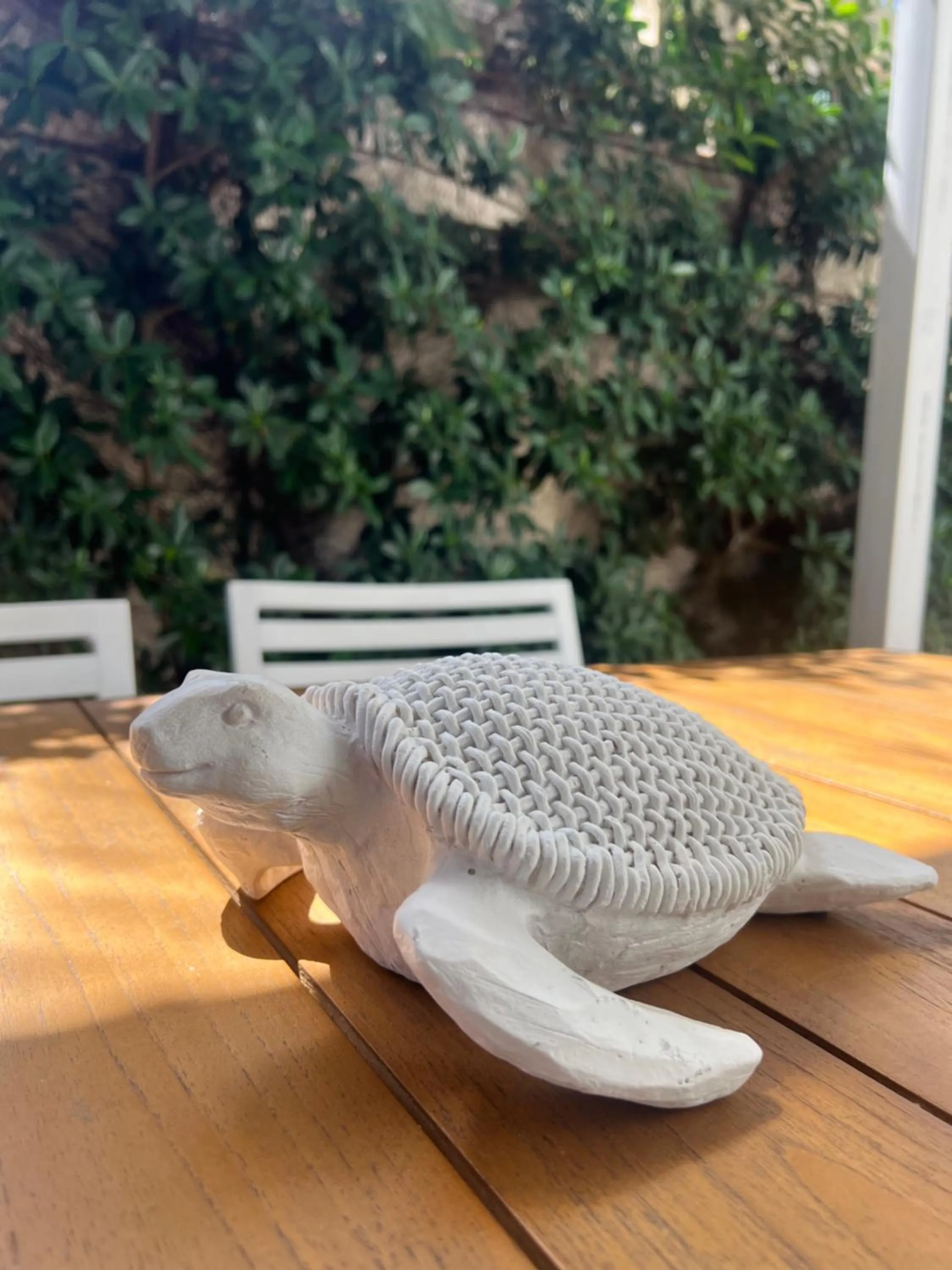 Day in Summer House Inn San Andres