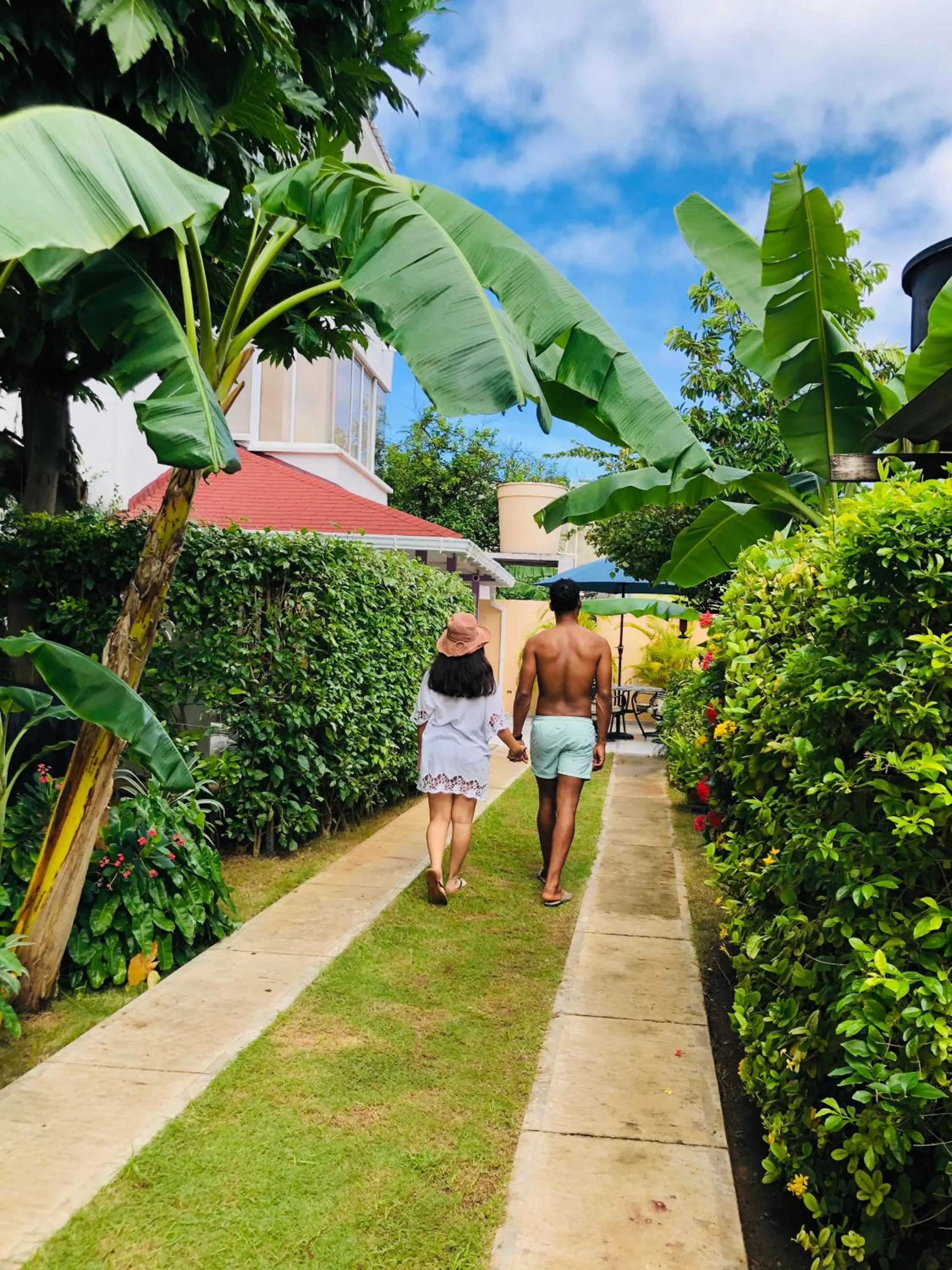 Garden view in Summer House Inn San Andres