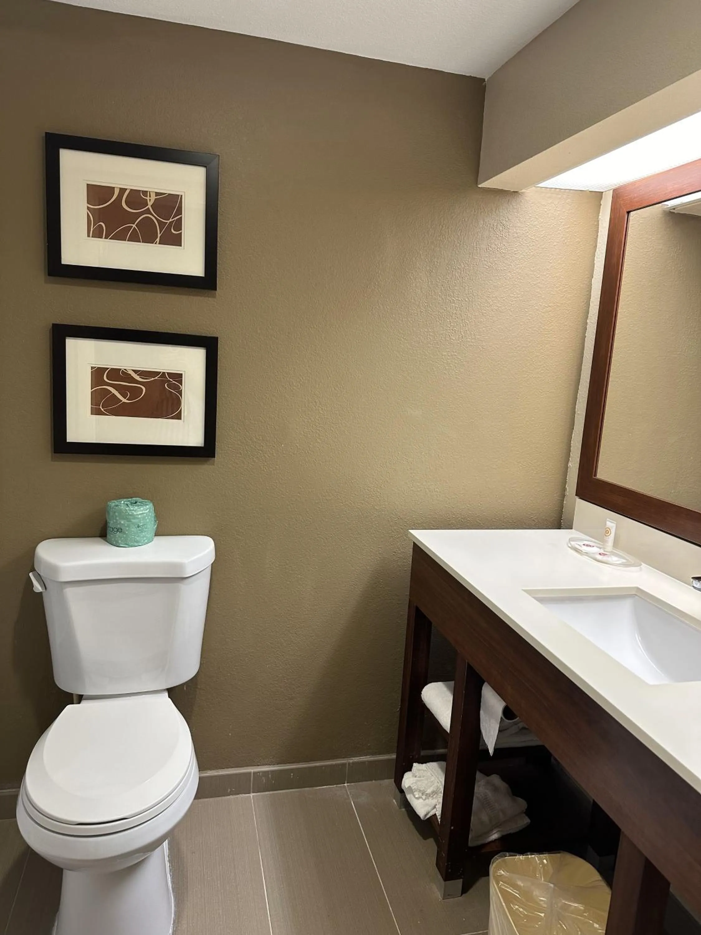 Toilet in Comfort Suites Sawgrass
