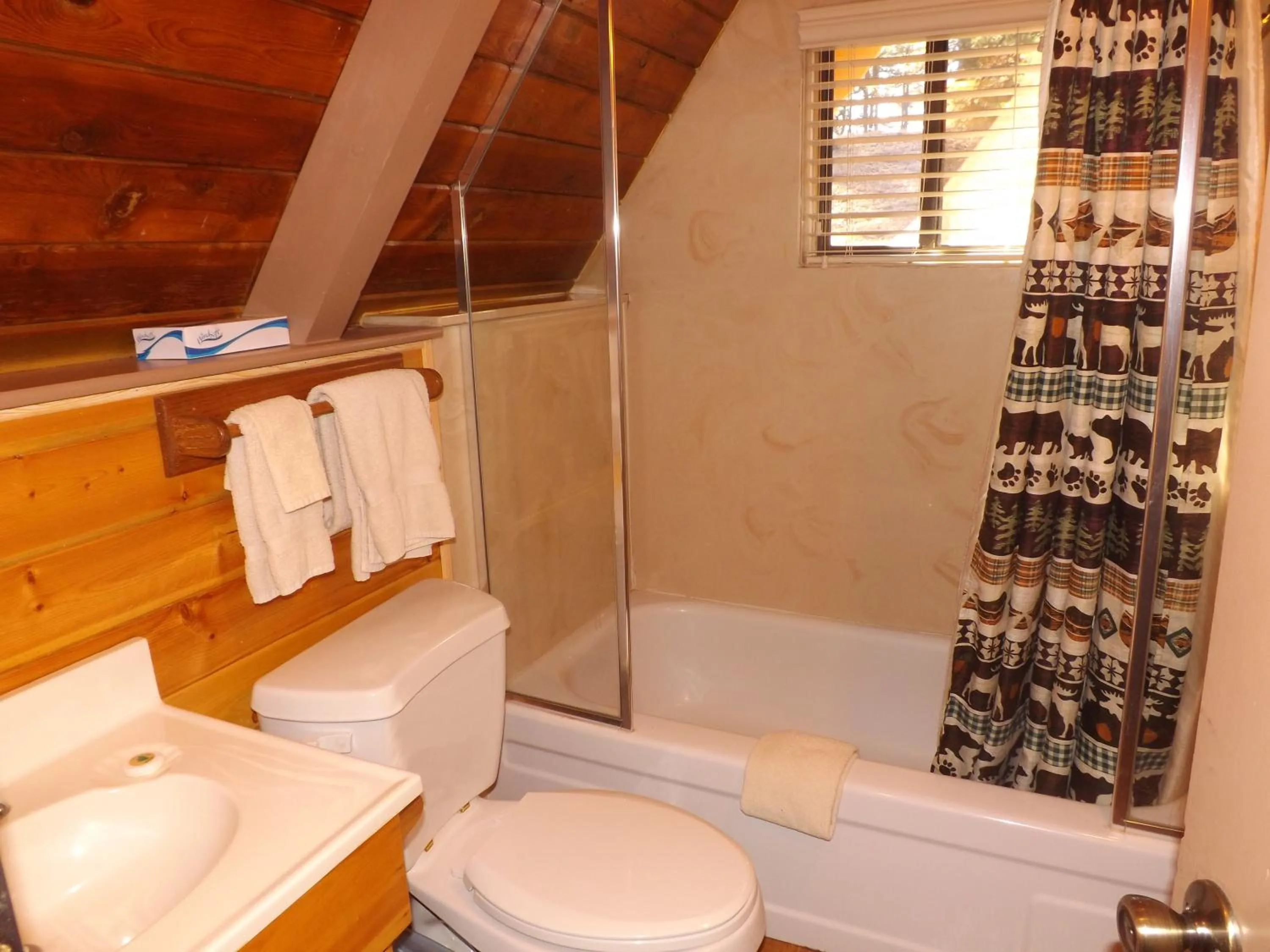 Bathroom in Arizona Mountain Inn & Cabins
