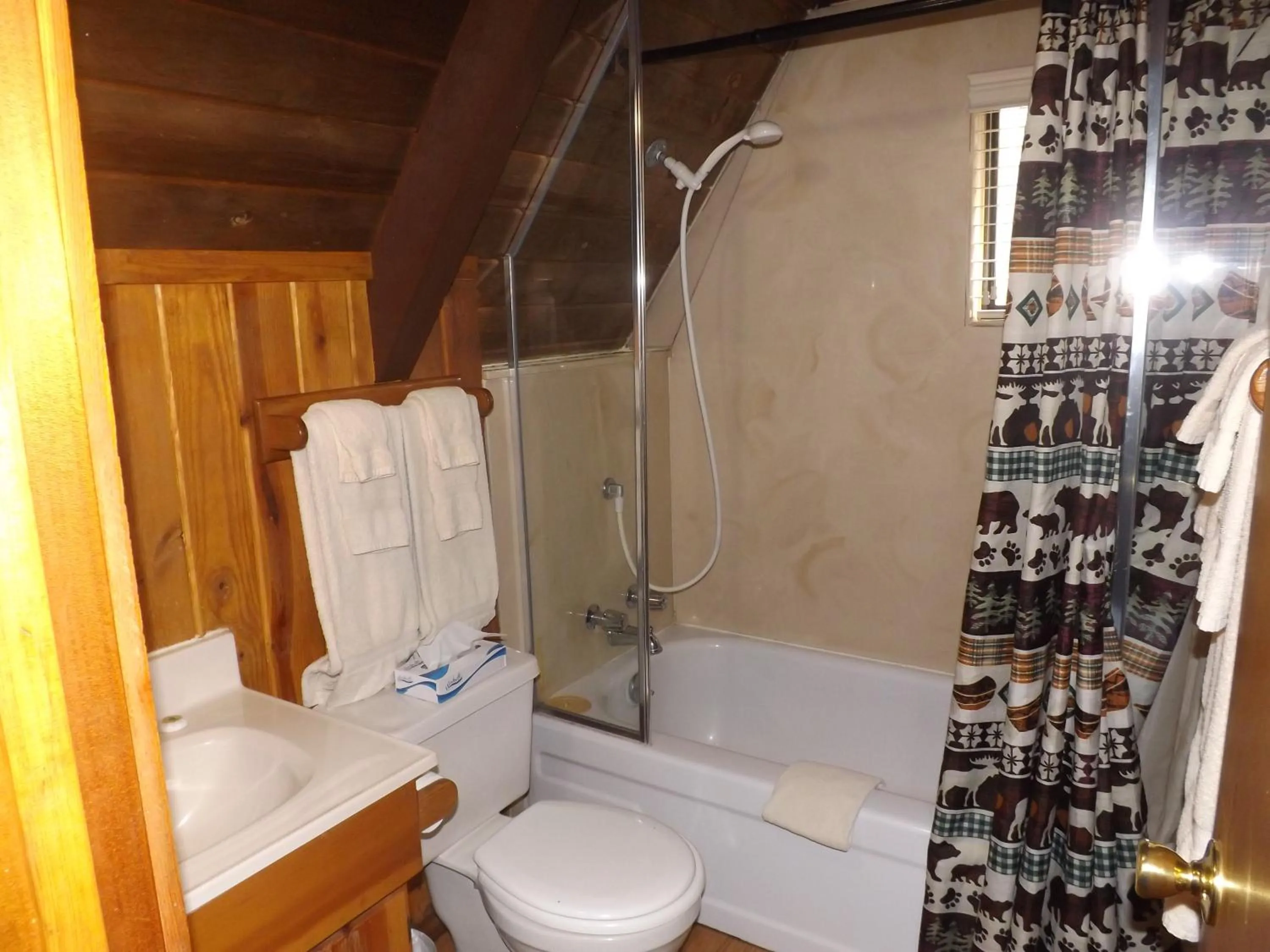 Arizona Mountain Inn & Cabins