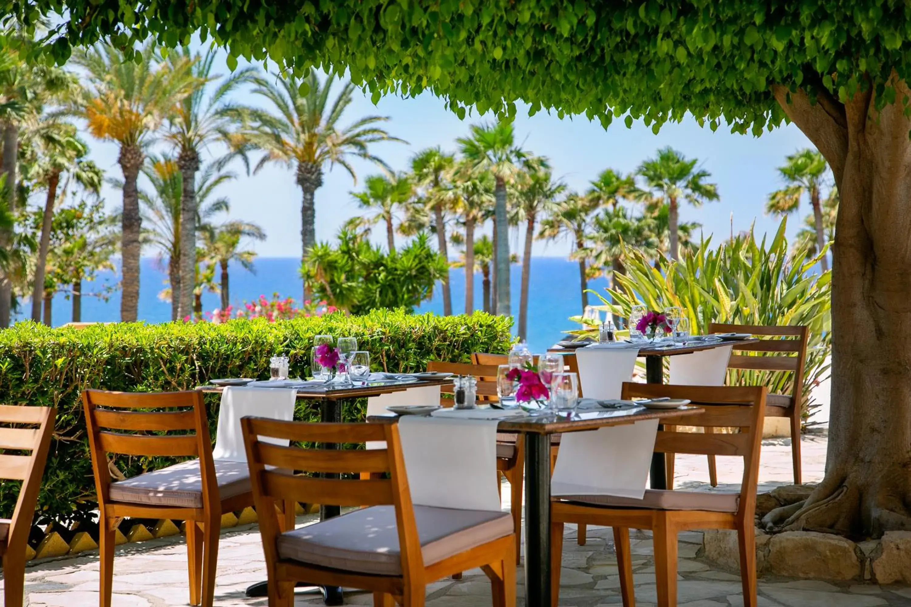 Restaurant/places to eat in Azia Resort & Spa Restaurant/places to eat in Azia Resort & Spa