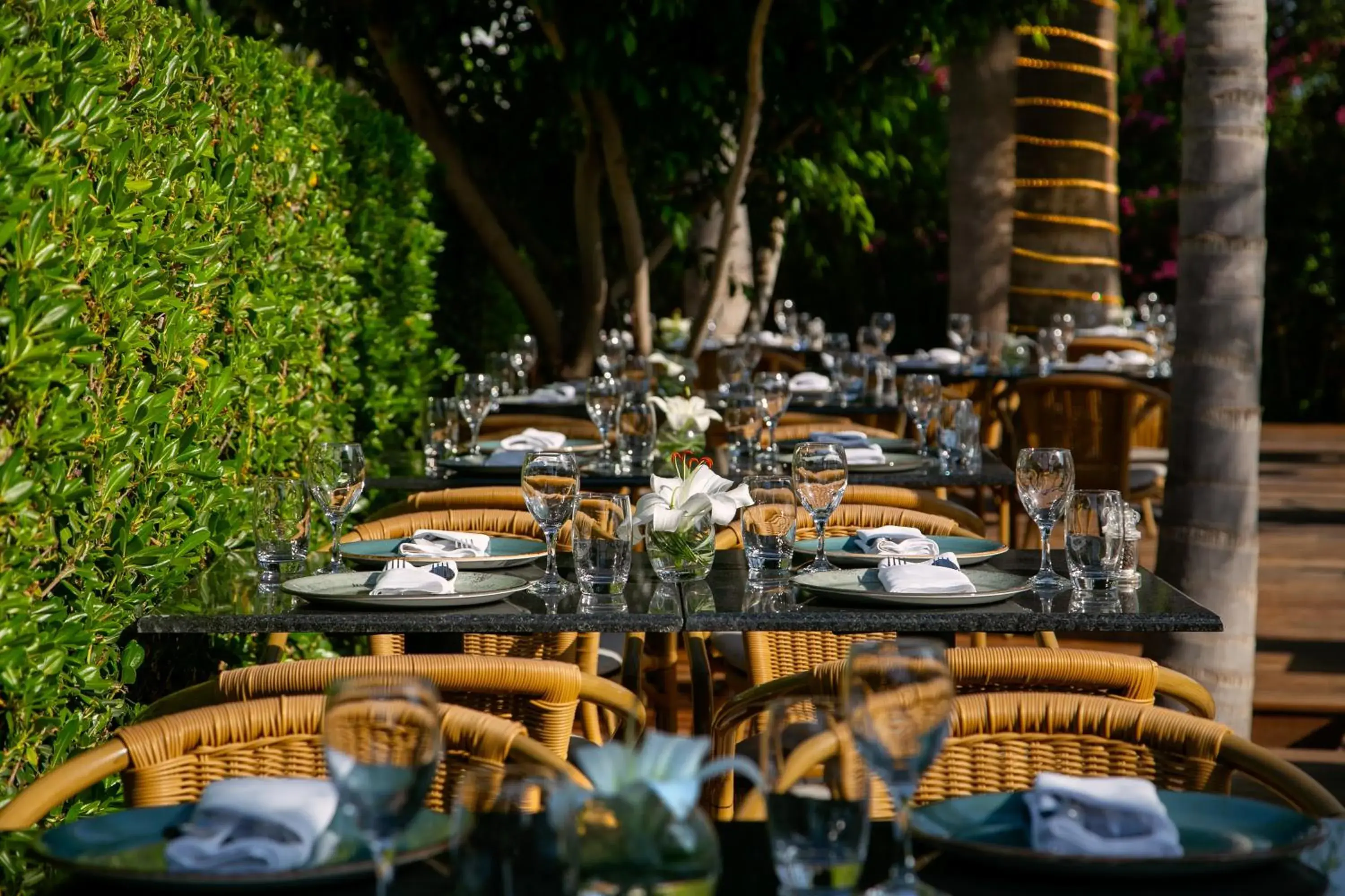 Restaurant/places to eat in Azia Resort & Spa Restaurant/places to eat in Azia Resort & Spa