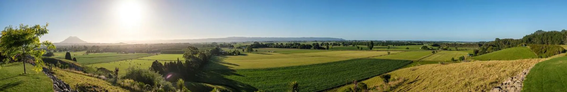 Secret Lake Farmstay