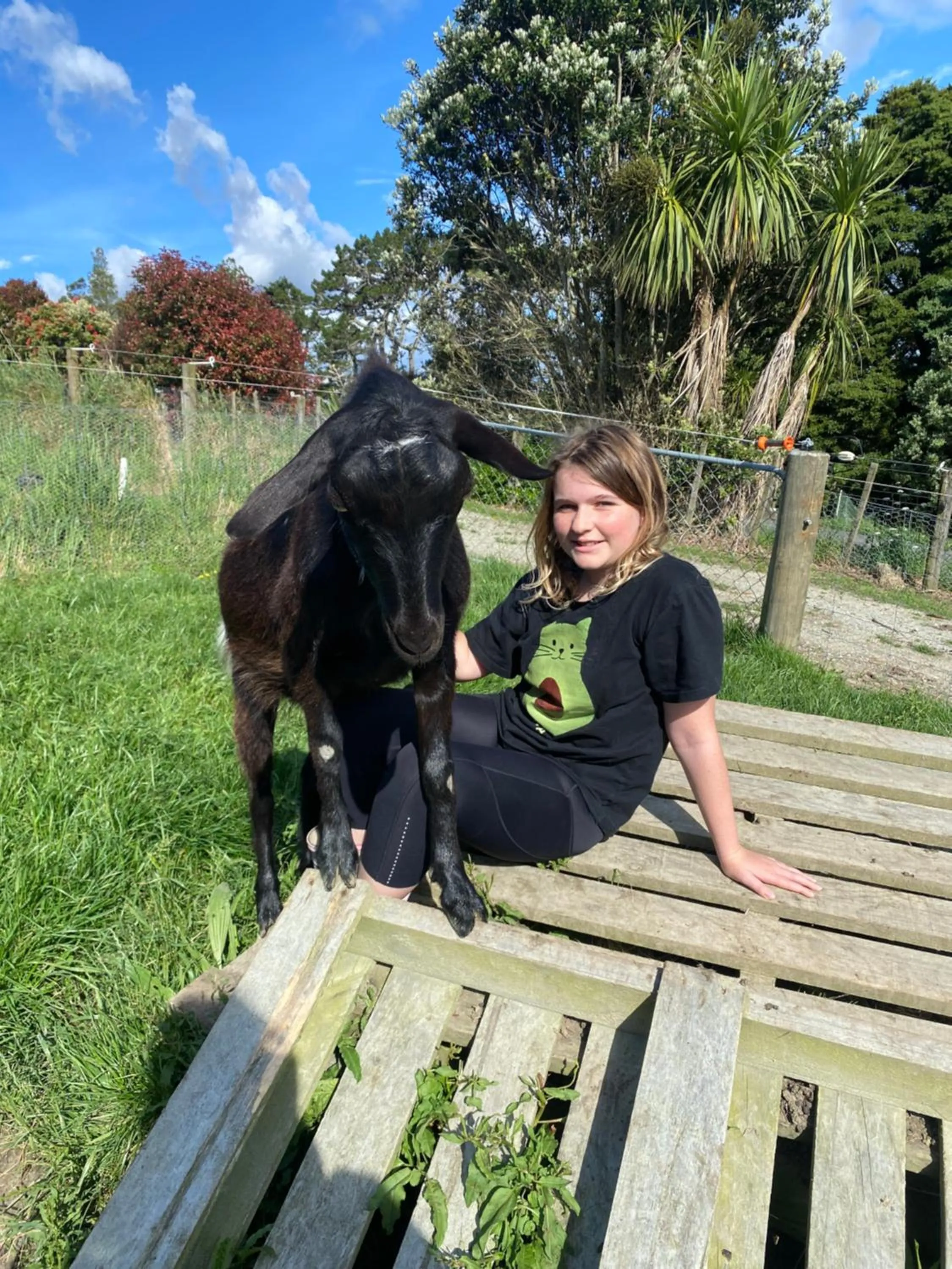 Pets in Pukeatua Farmstay