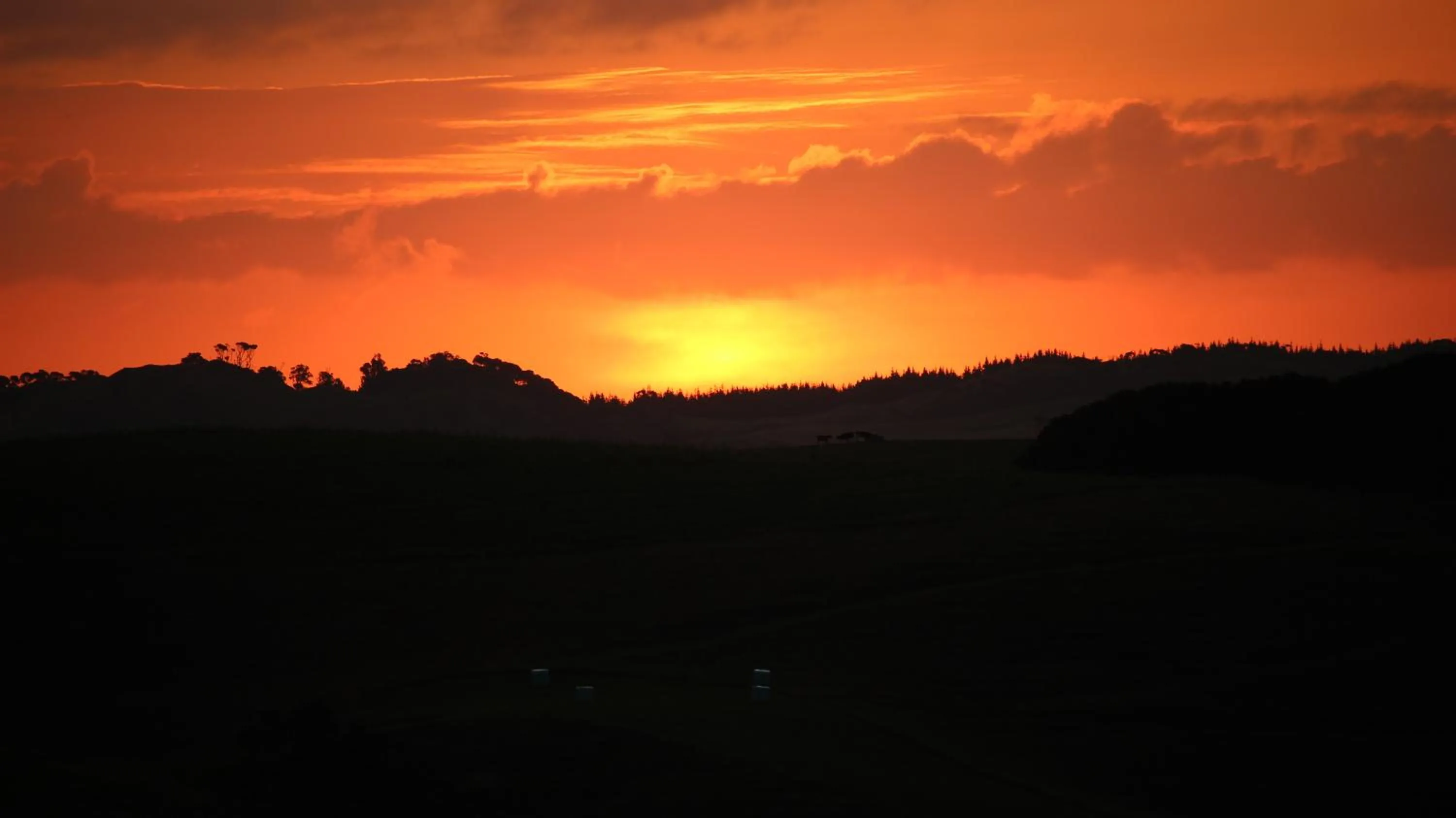 View (from property/room) in Pukeatua Farmstay