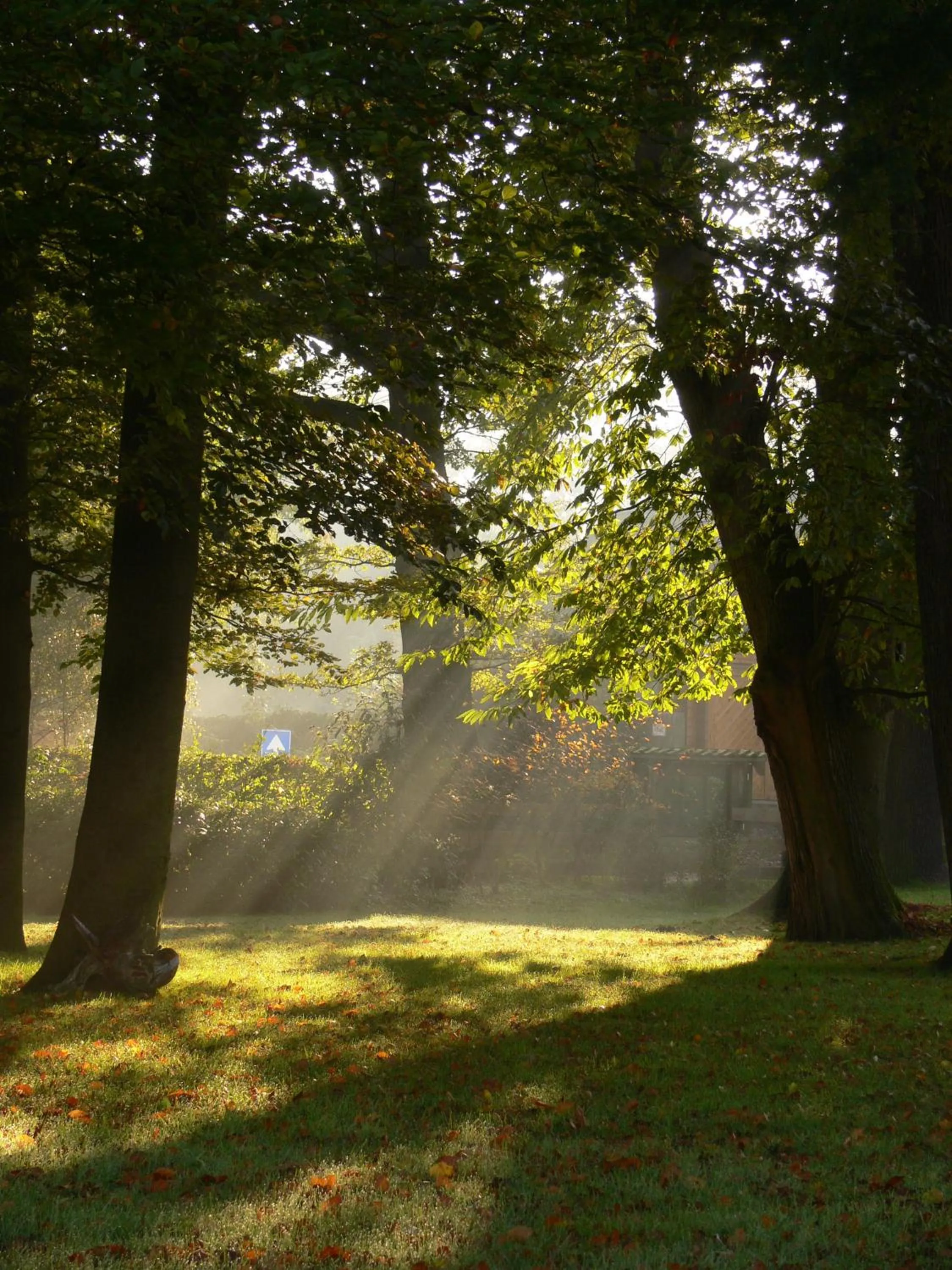 Natural landscape in Boutique Hotel Nieuw Beusink