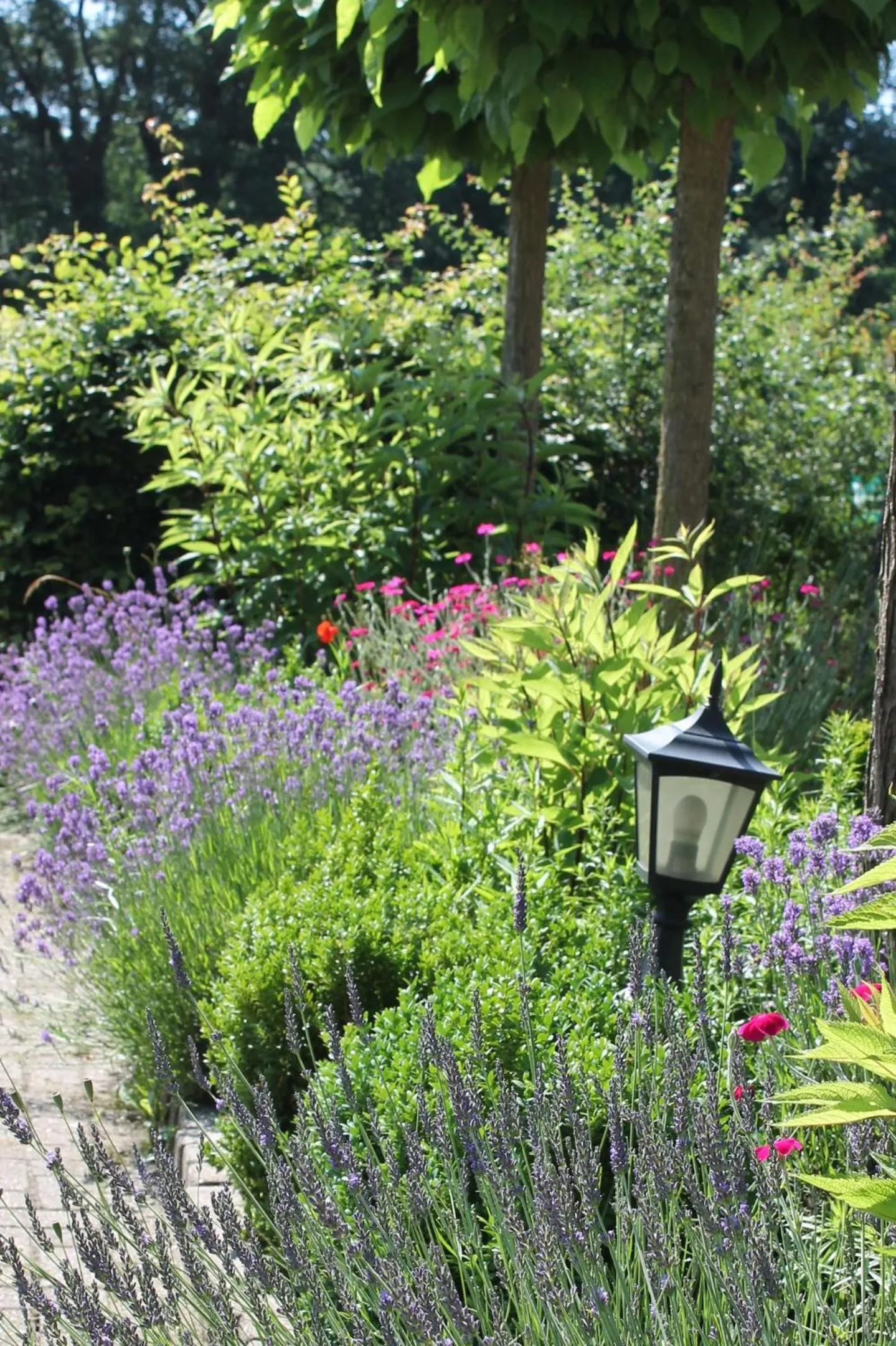 Garden in Boutique Hotel Nieuw Beusink