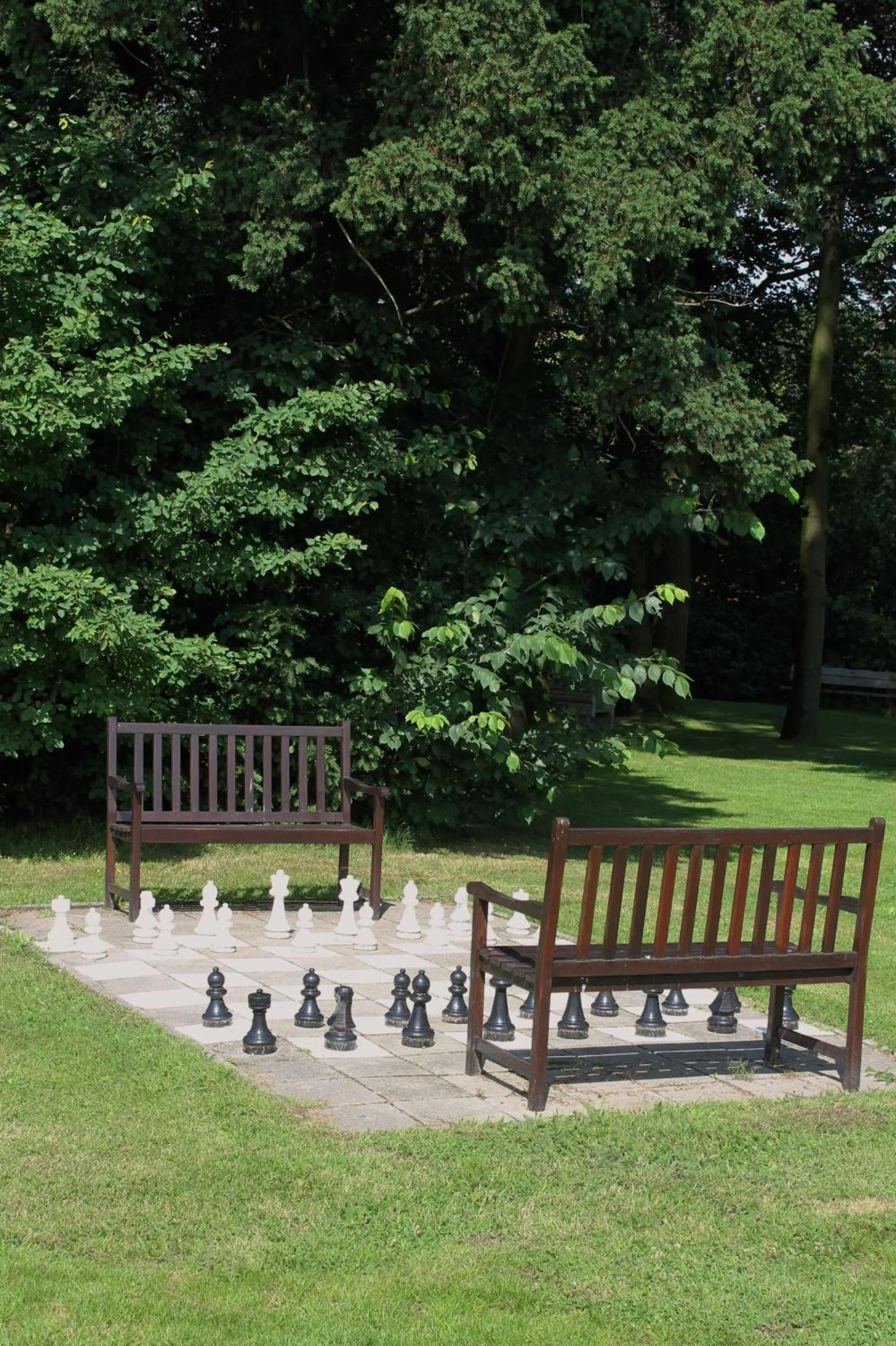 Activities in Boutique Hotel Nieuw Beusink