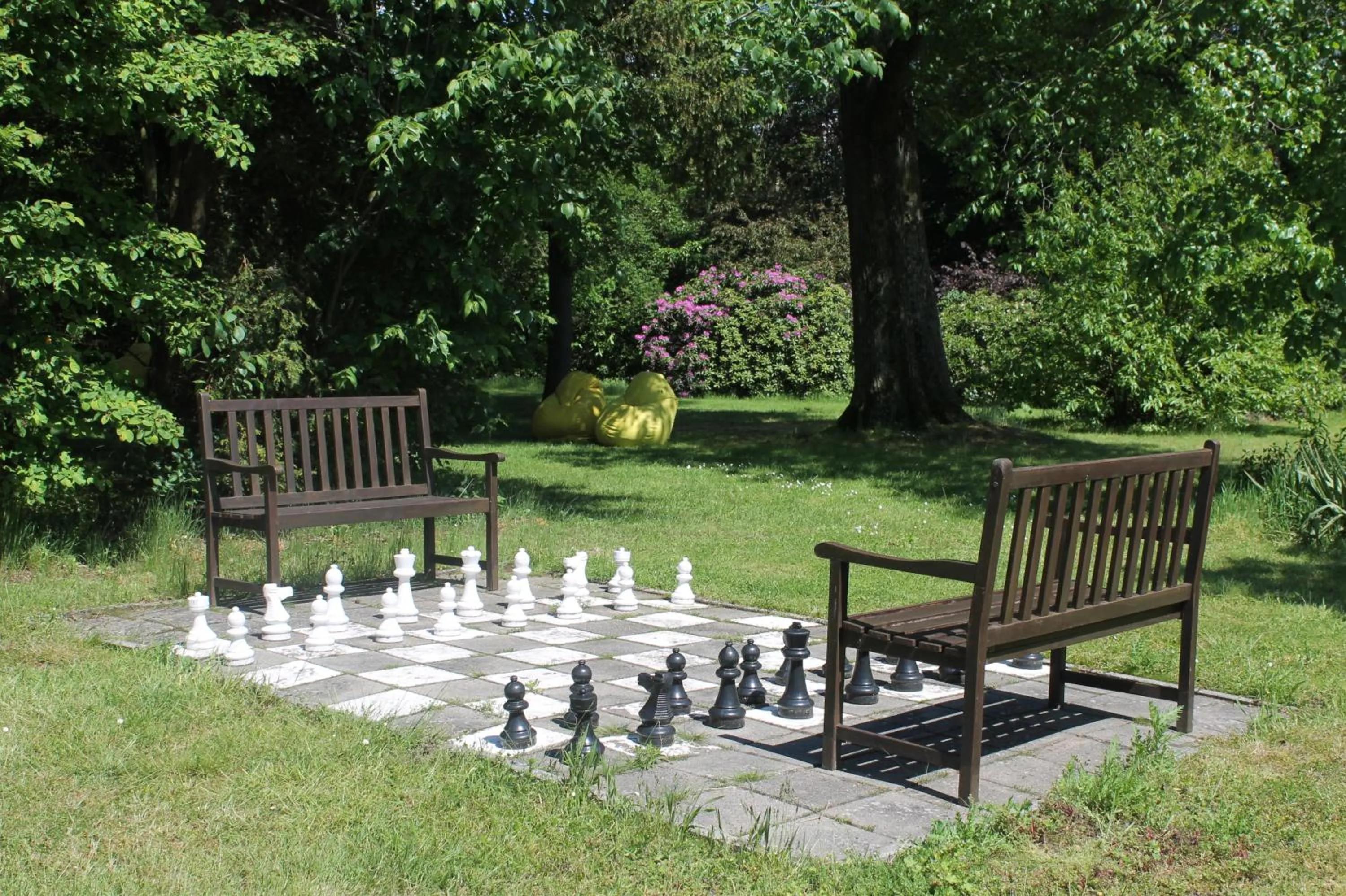 Activities in Boutique Hotel Nieuw Beusink