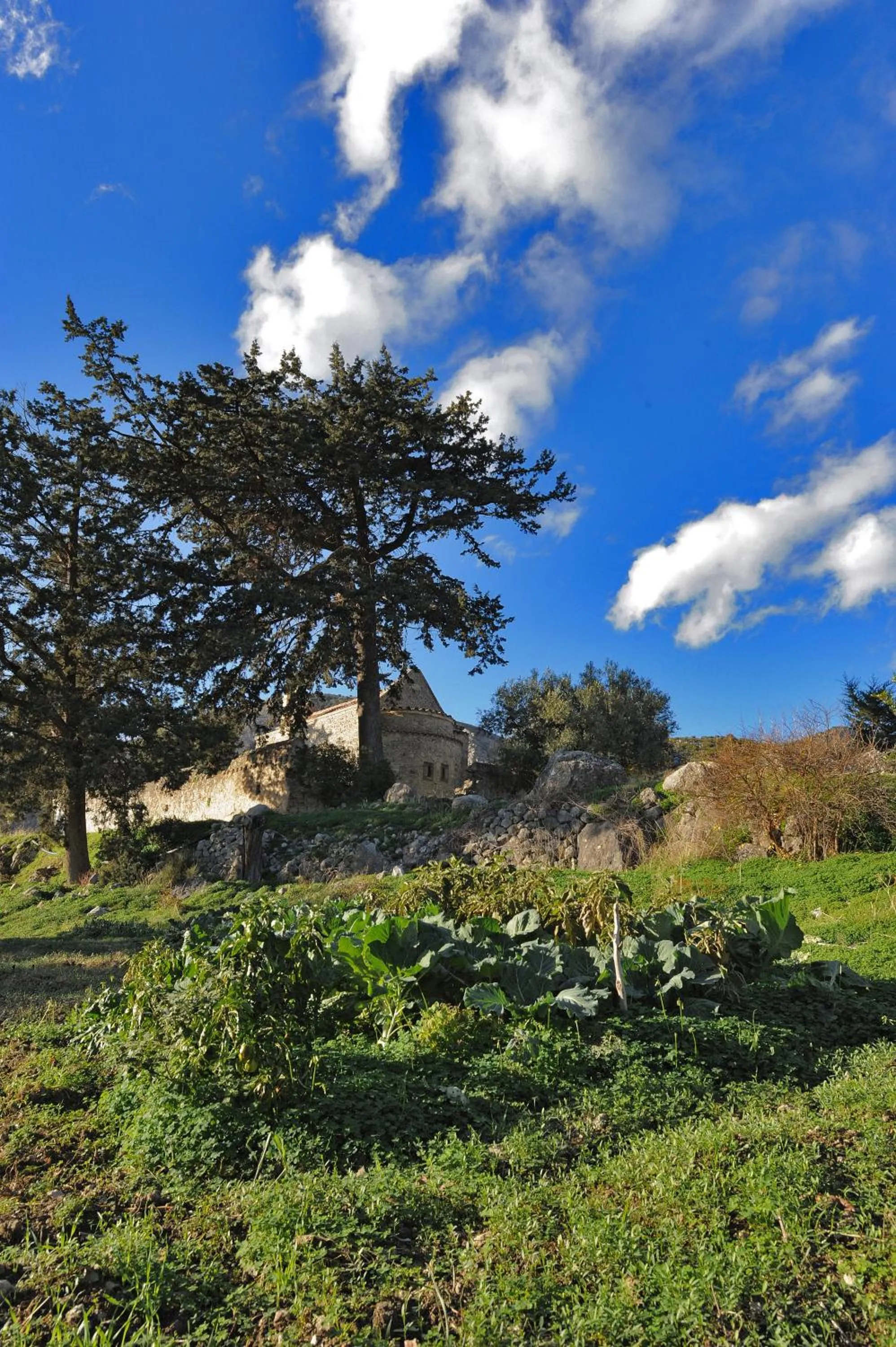 Off site in Mala Villa