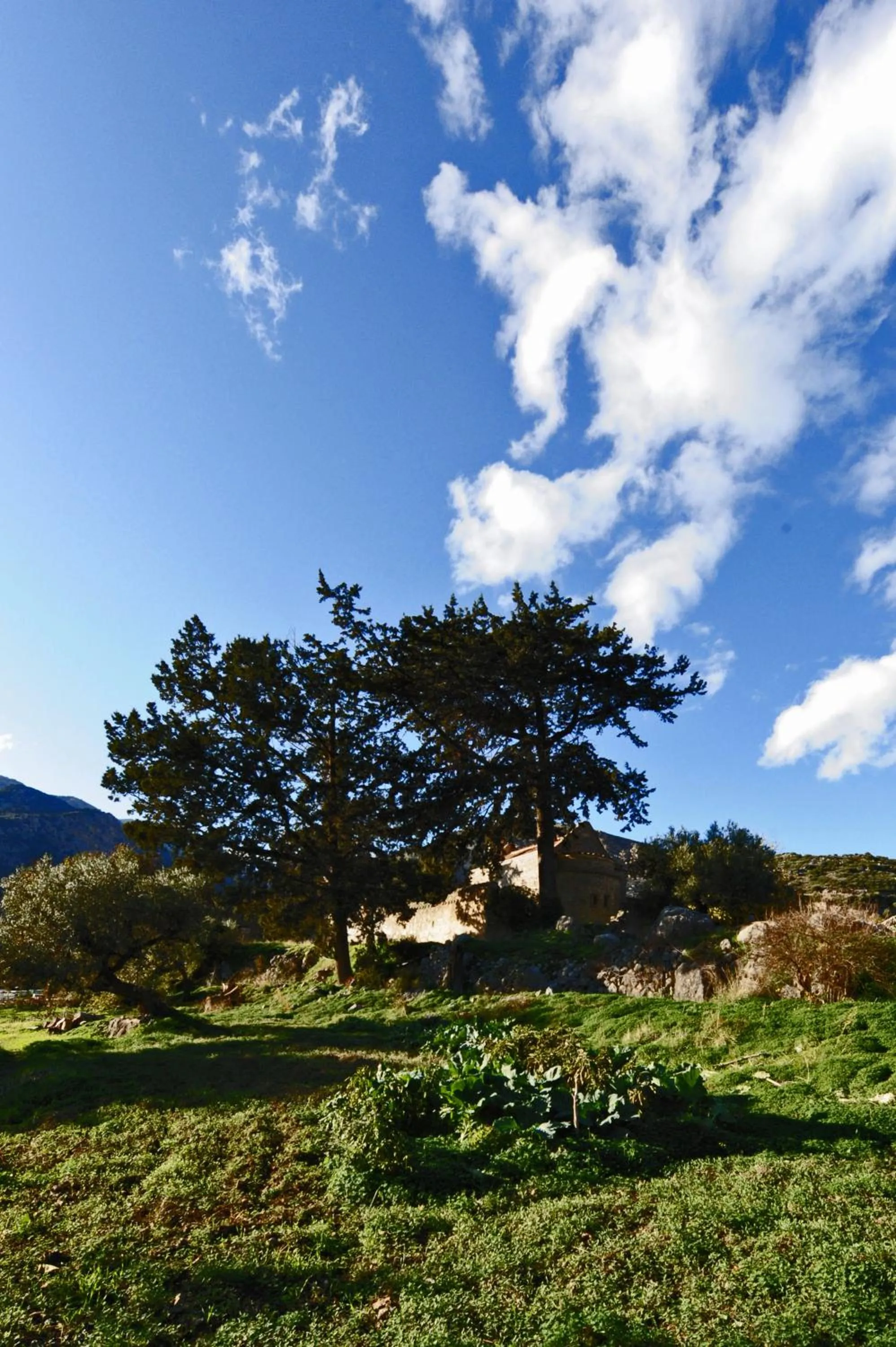 Off site in Mala Villa