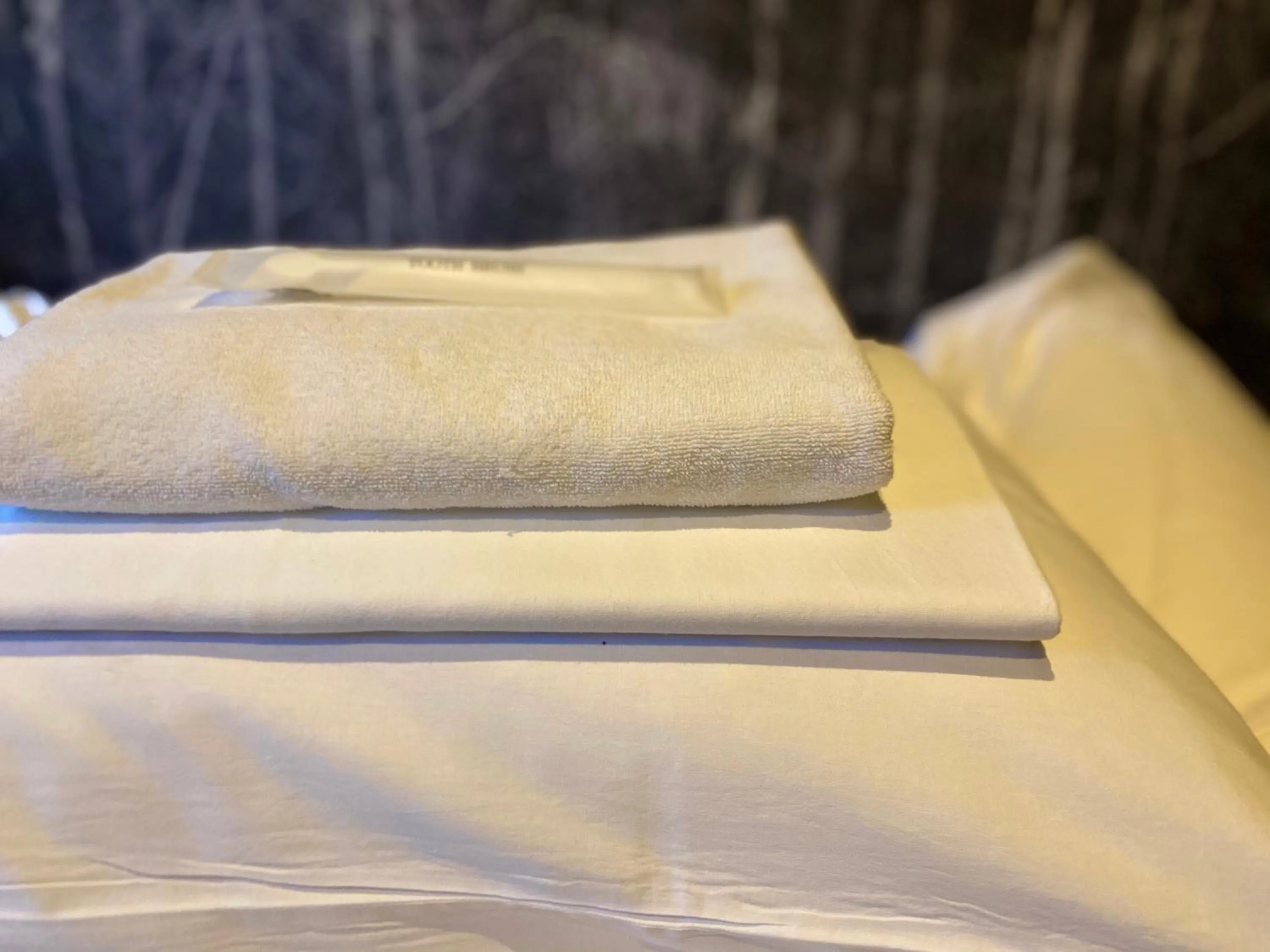 Bed in Hostel SAMURISE Mt Fuji