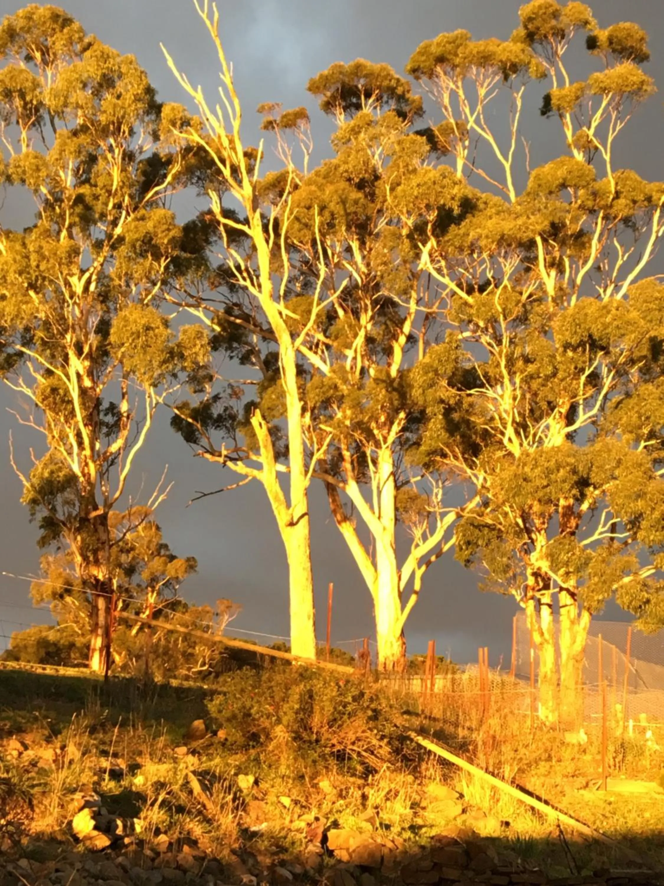 Natural landscape in Springmead B&B