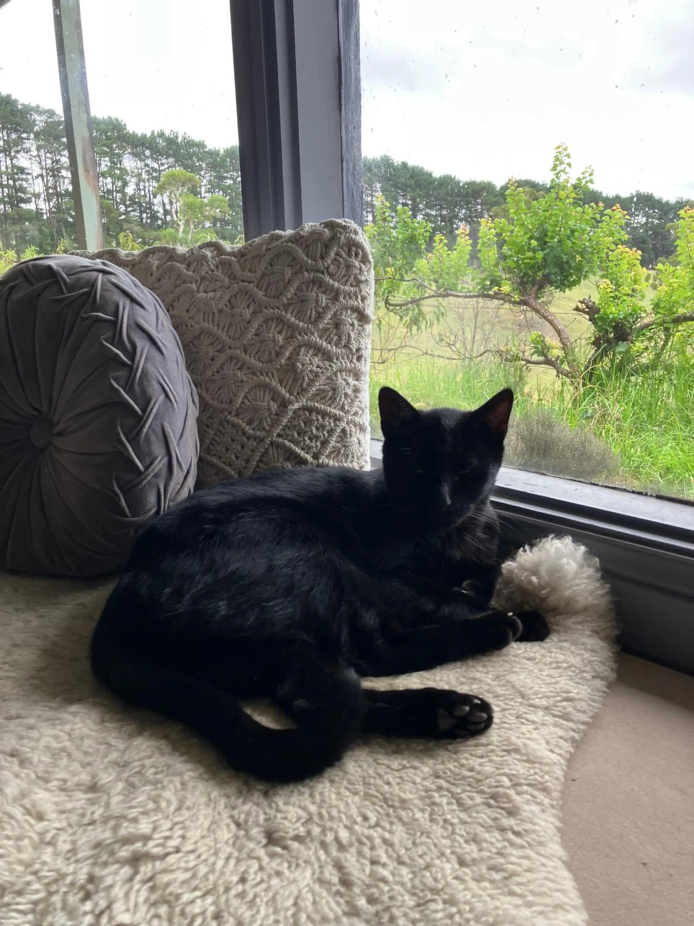 Springmead B&B