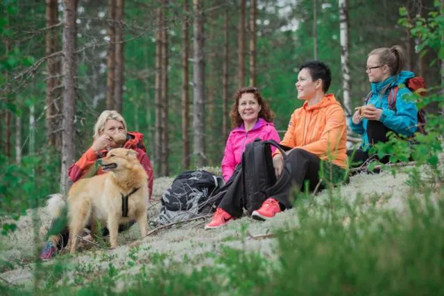 Natural landscape in Paljakka Mökit