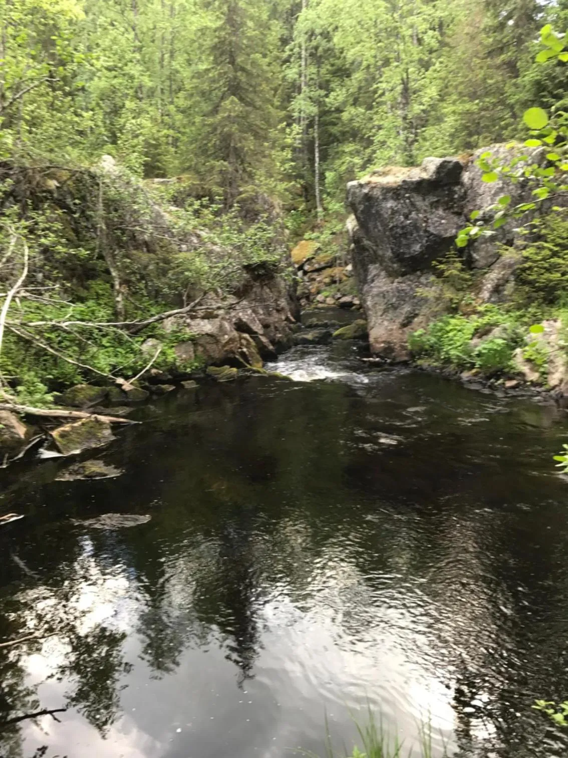 Natural landscape in Paljakka Mökit