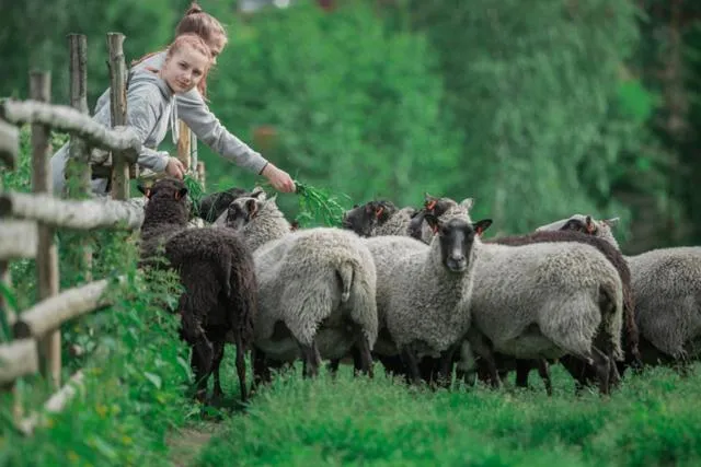 Natural landscape in Paljakka Mökit
