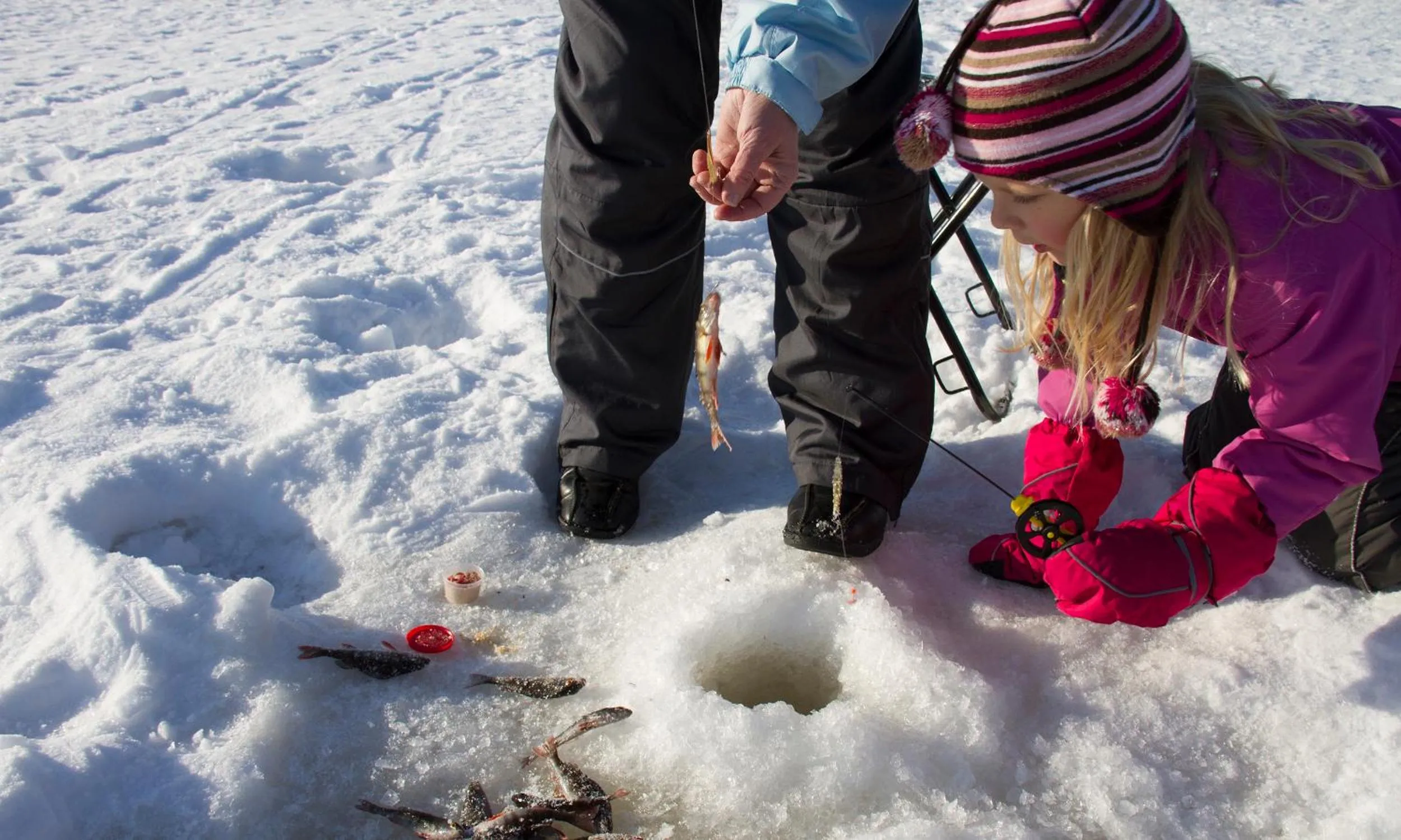 Natural landscape in Paljakka Mökit