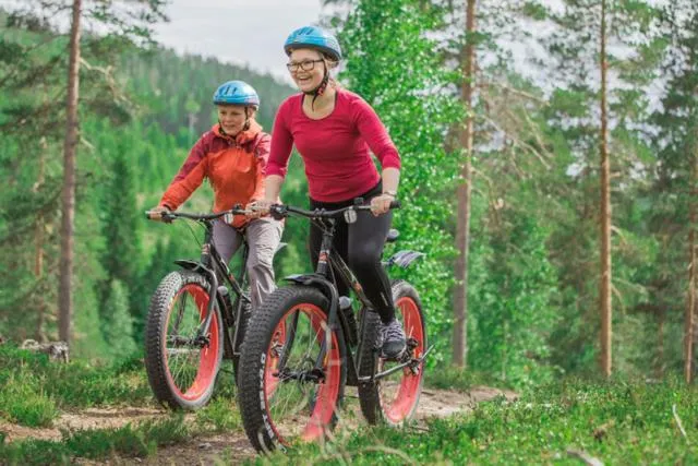 Natural landscape in Paljakka Mökit