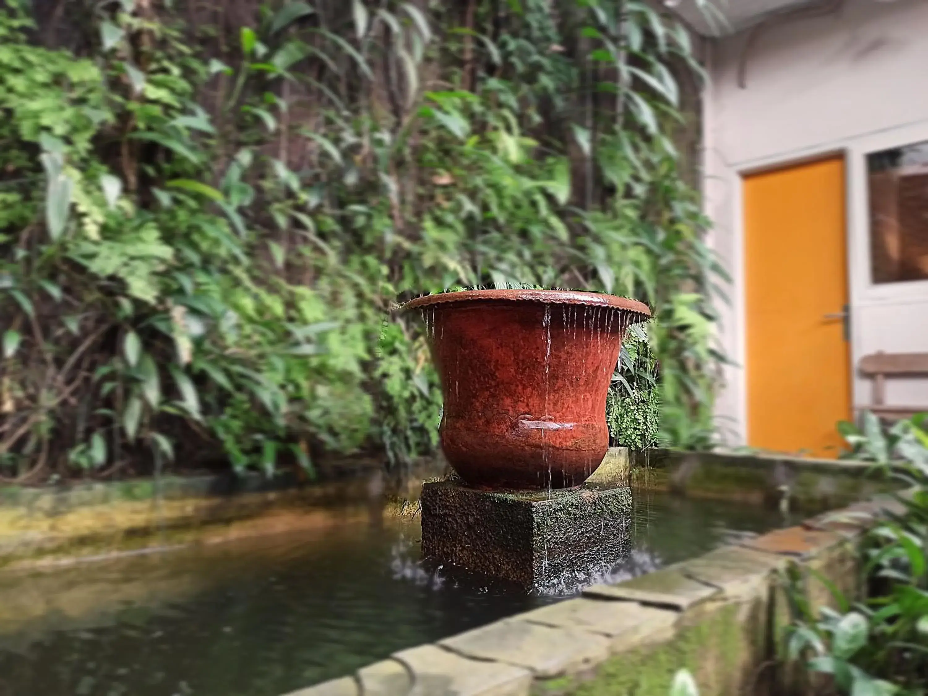 Garden view in Jeng Tini Guest House Garden view in Jeng Tini Guest House