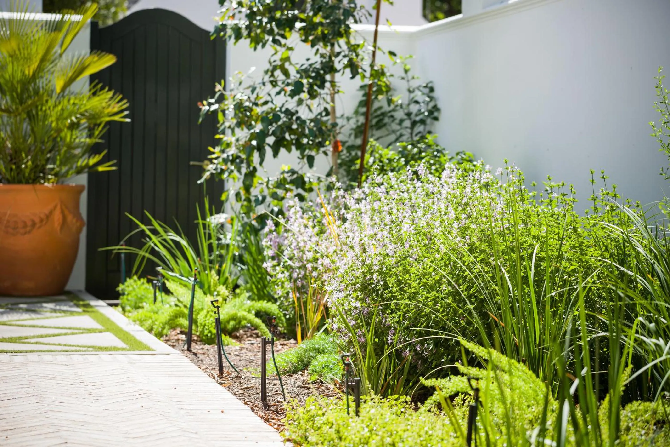 Garden in Akademie Street Boutique Hotel