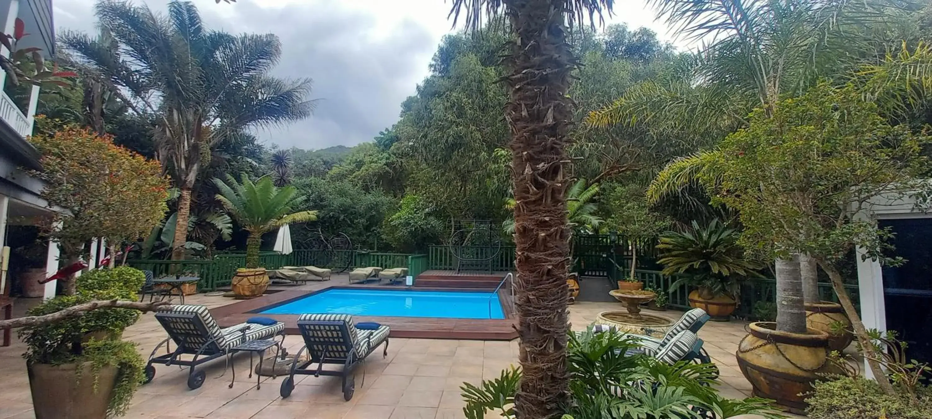 Swimming pool in Cinnamon Boutique Guest House Swimming pool in Cinnamon Boutique Guest House