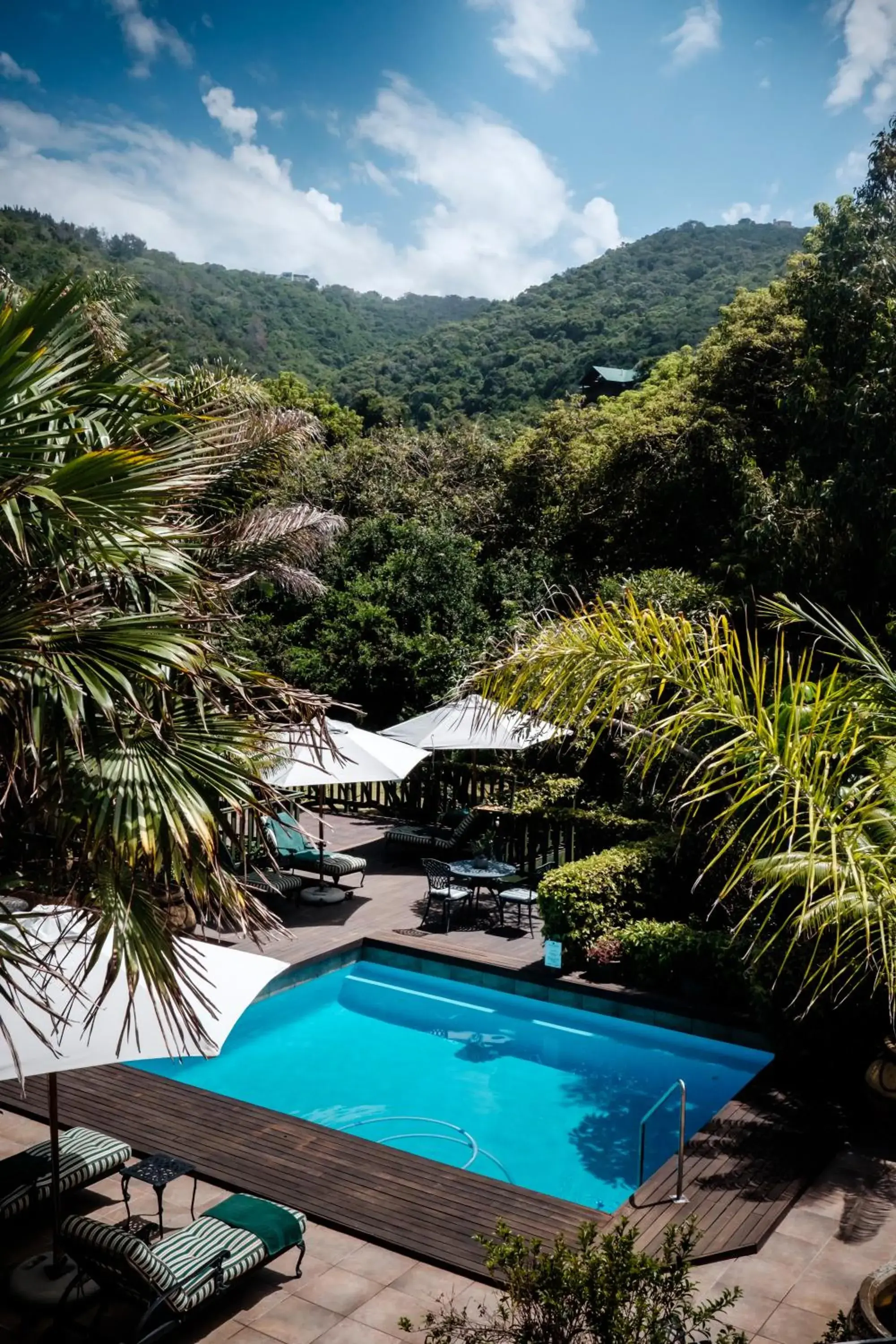 Pool view in Cinnamon Boutique Guest House Pool view in Cinnamon Boutique Guest House