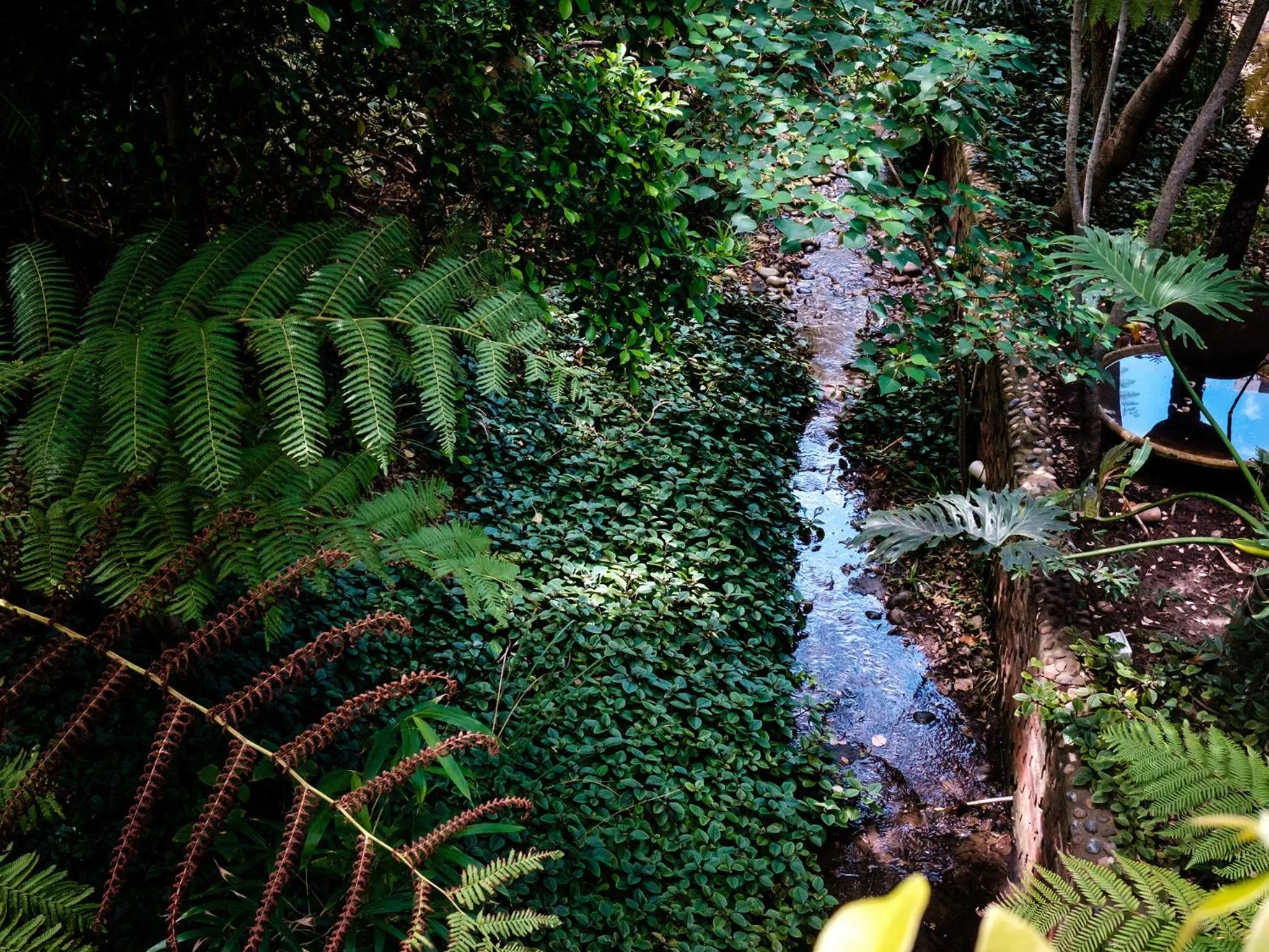 Natural landscape in Cinnamon Boutique Guest House