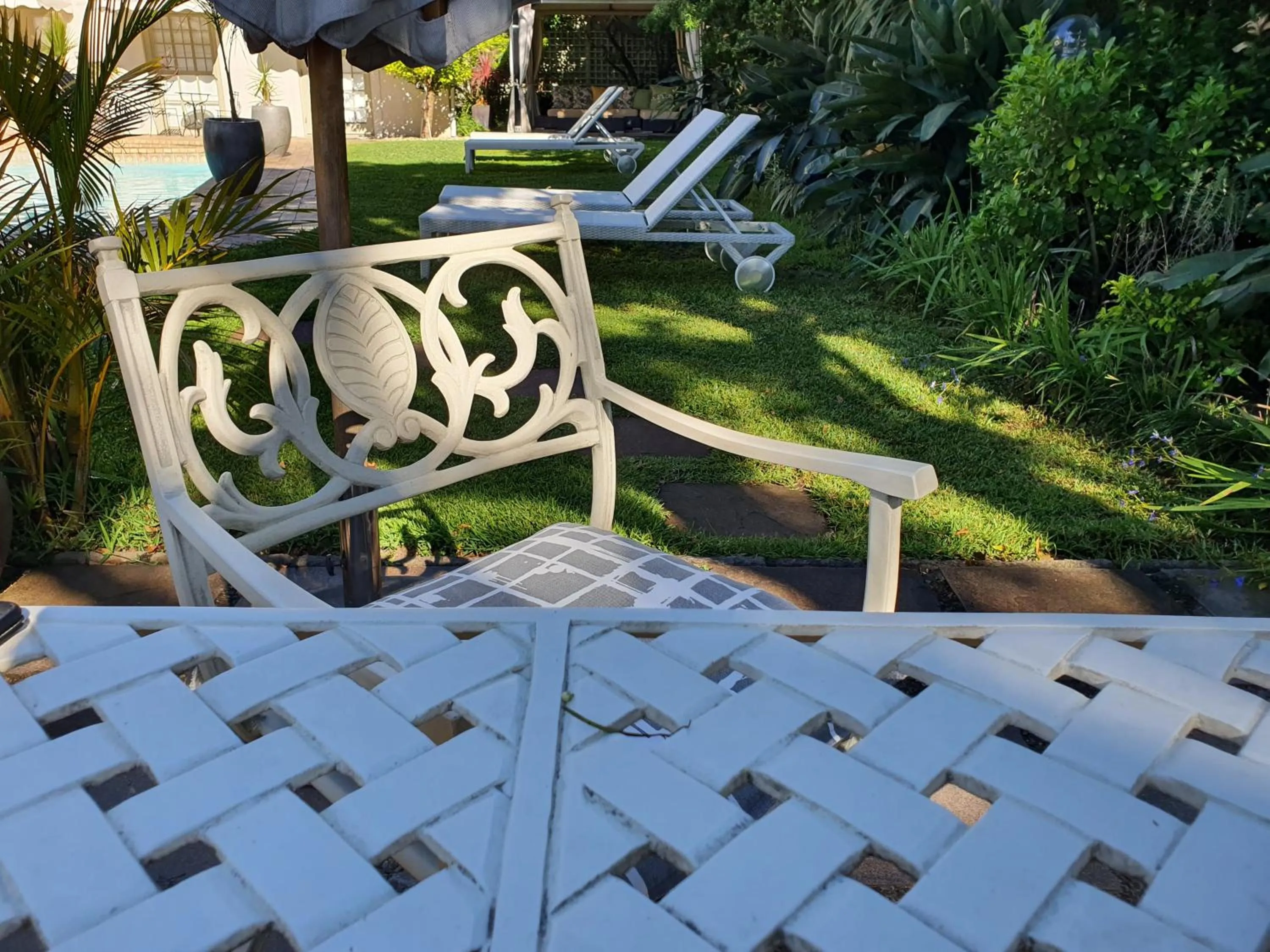 Garden in Wild Olive Guest House & Villa