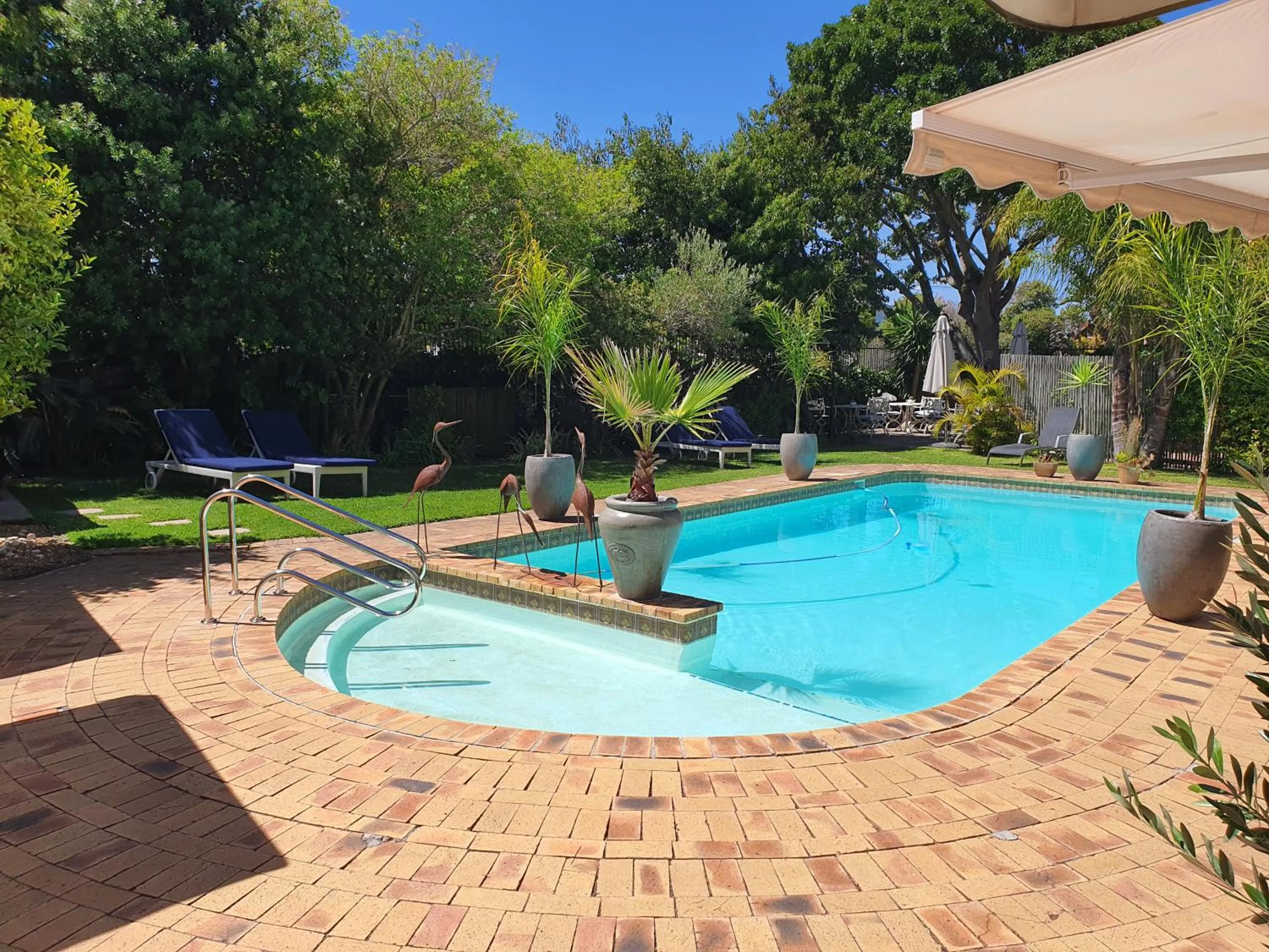 Swimming pool in Wild Olive Guest House & Villa